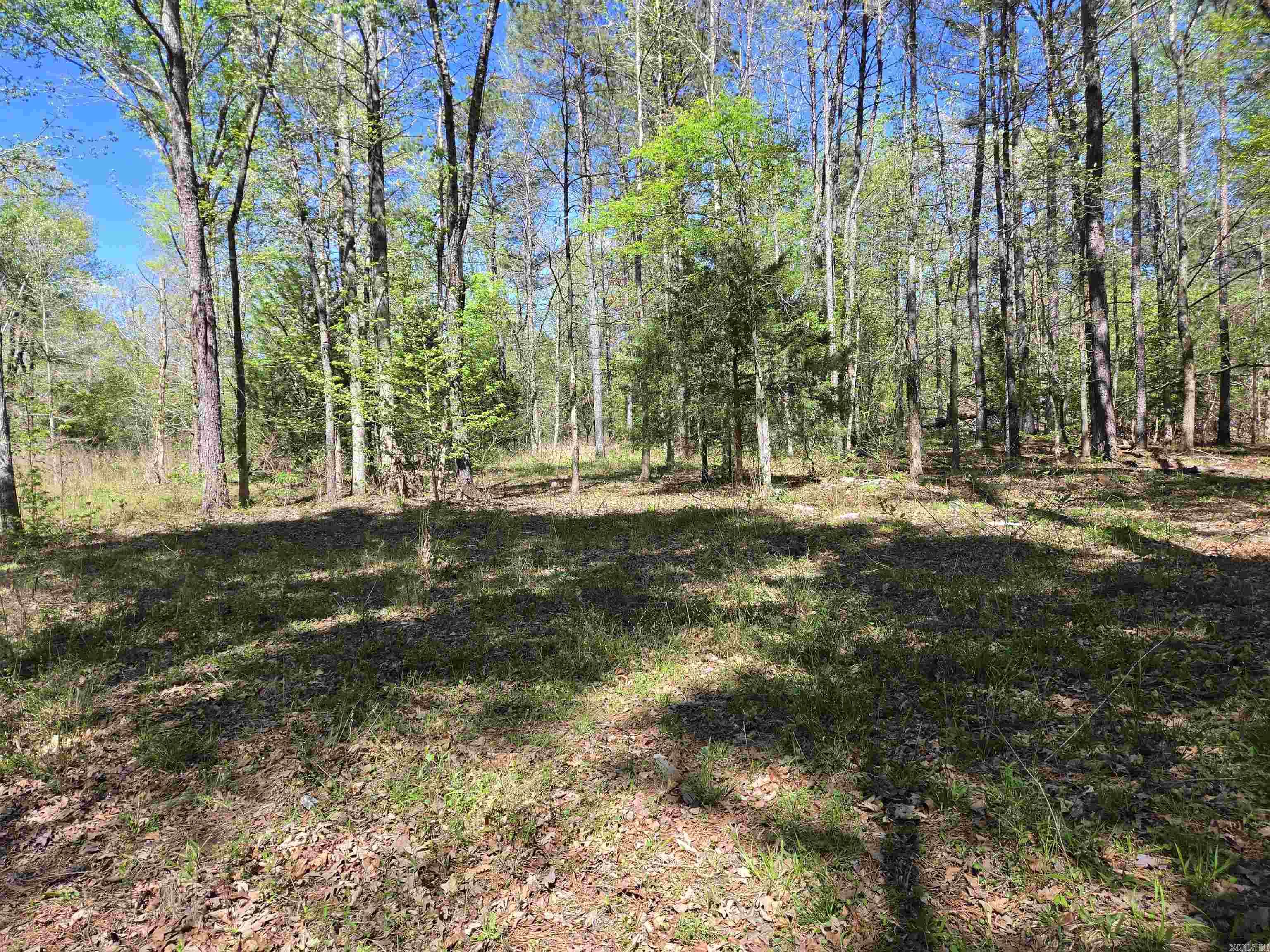 5 Acres of 2926 Bauxite Cutoff Road