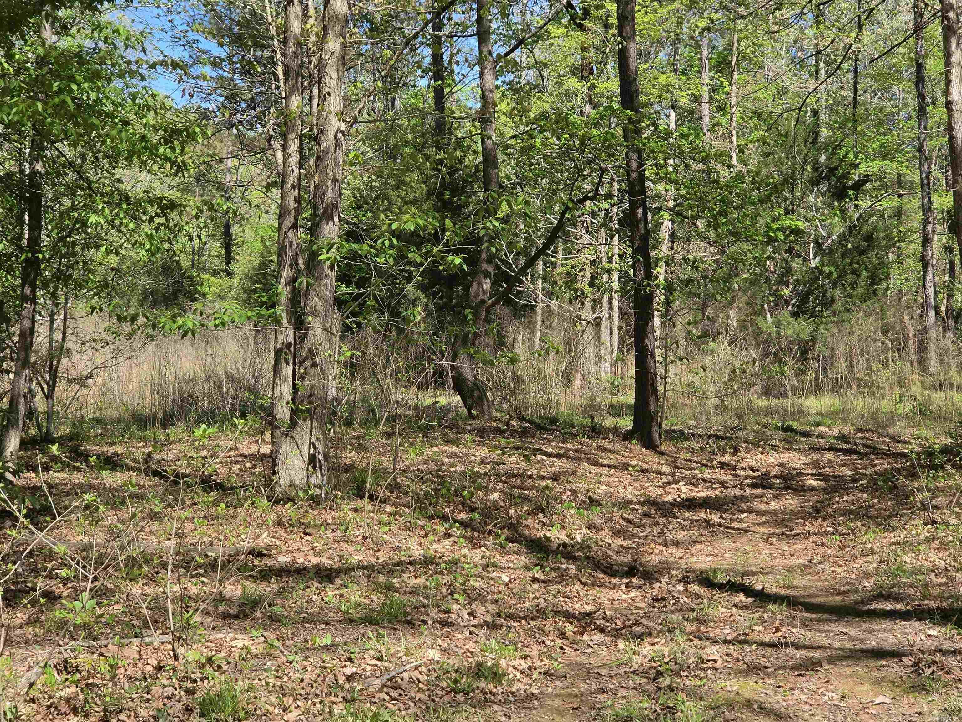 5 Acres of 2926 Bauxite Cutoff Road