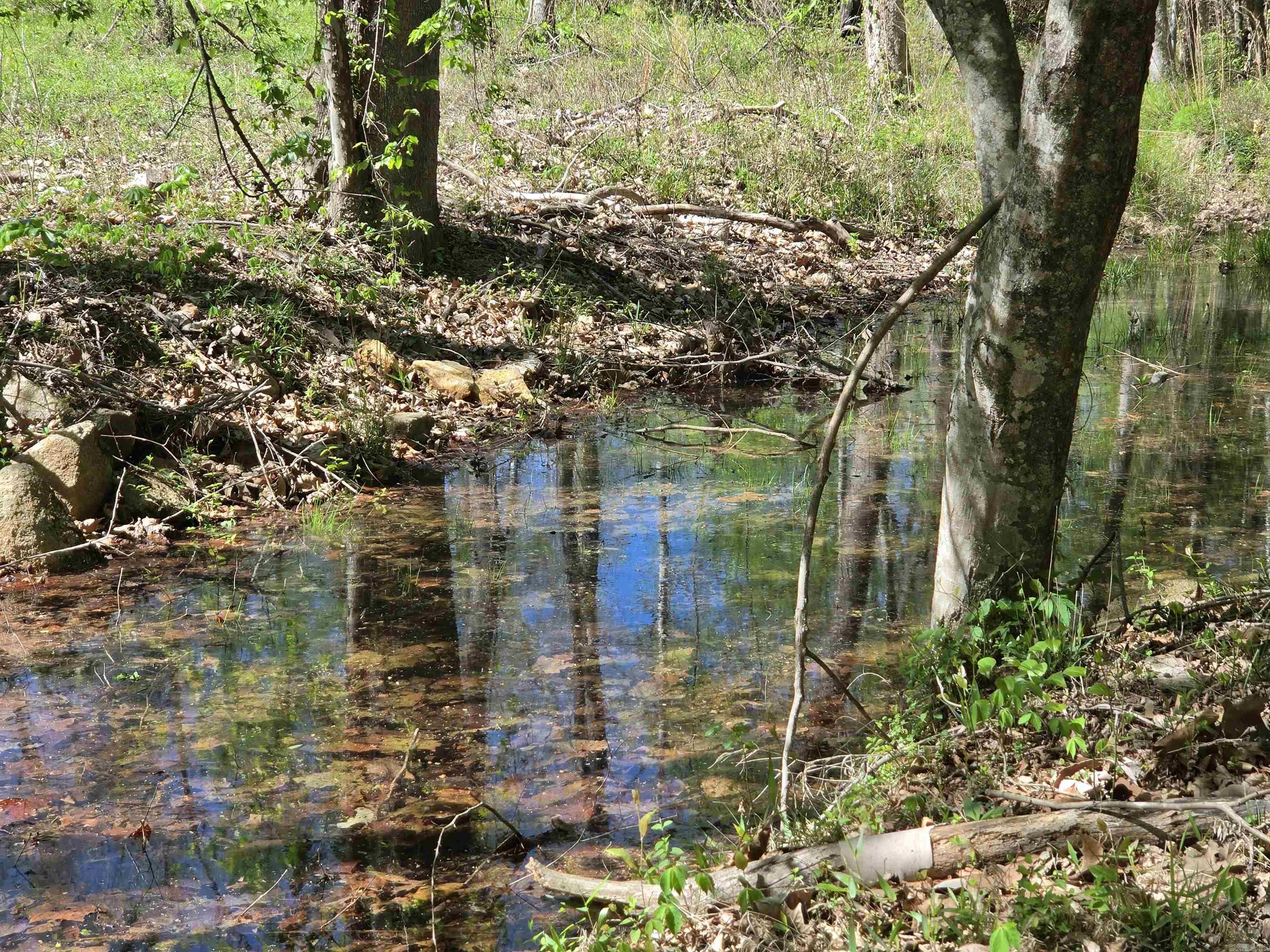 5 Acres of 2926 Bauxite Cutoff Road