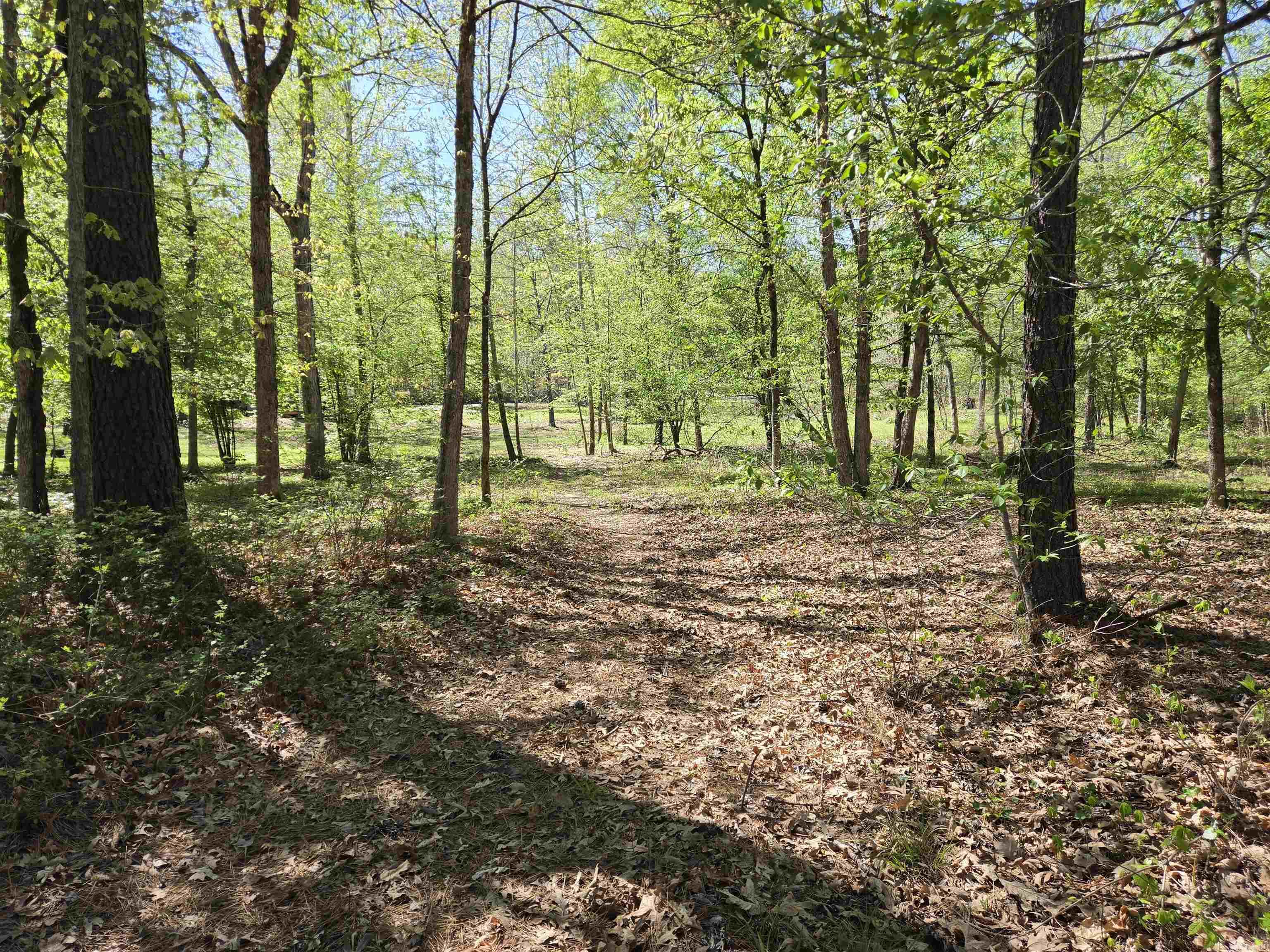 5 Acres of 2926 Bauxite Cutoff Road