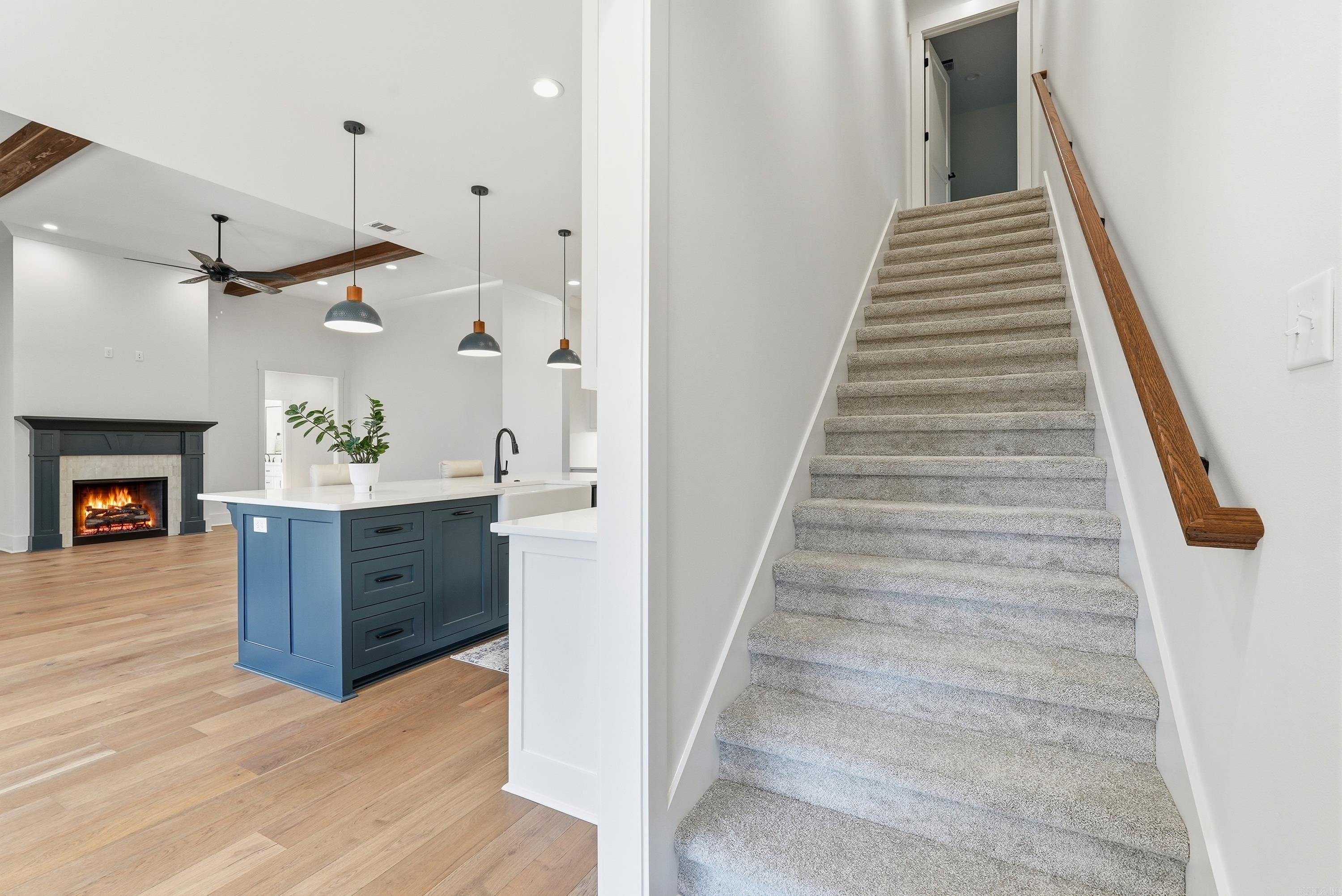 1650 Dolphin Drive