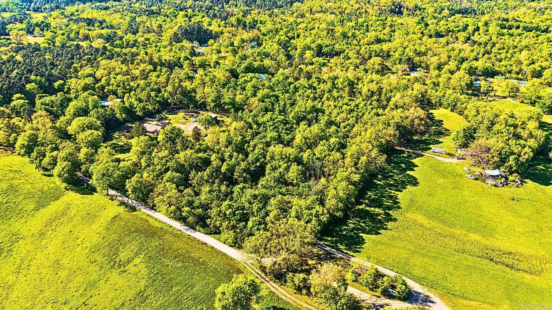 000 Old Bear Road
