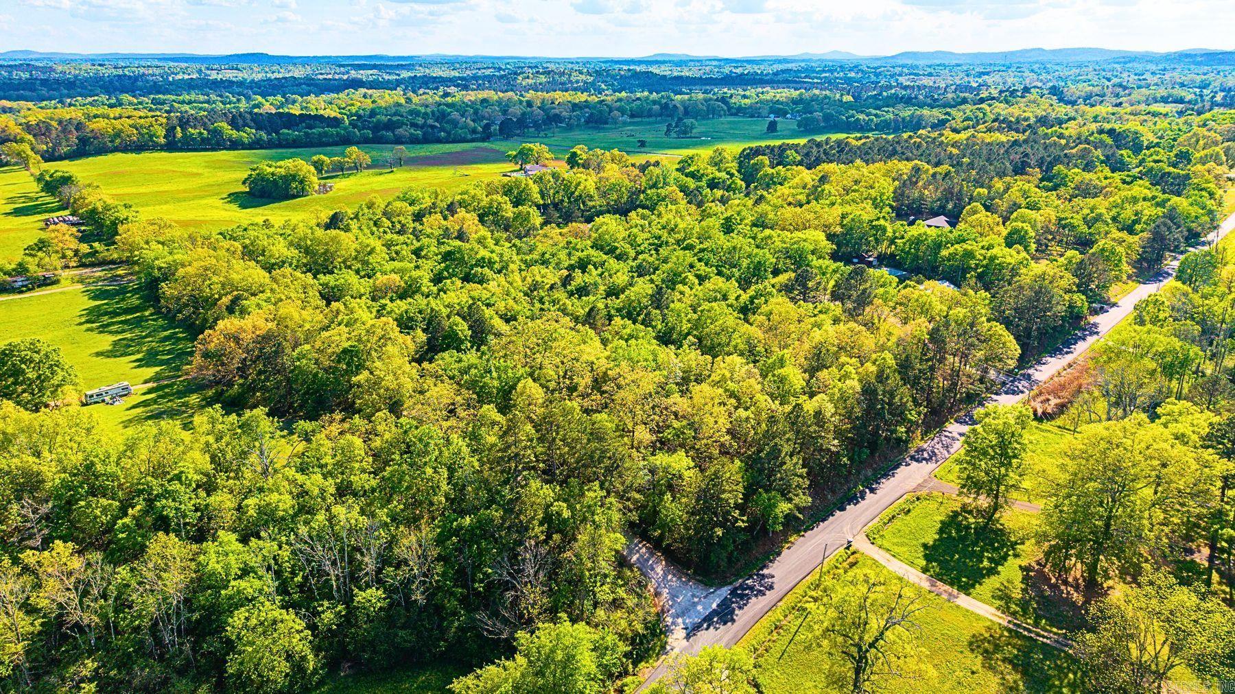 000 Old Bear Road