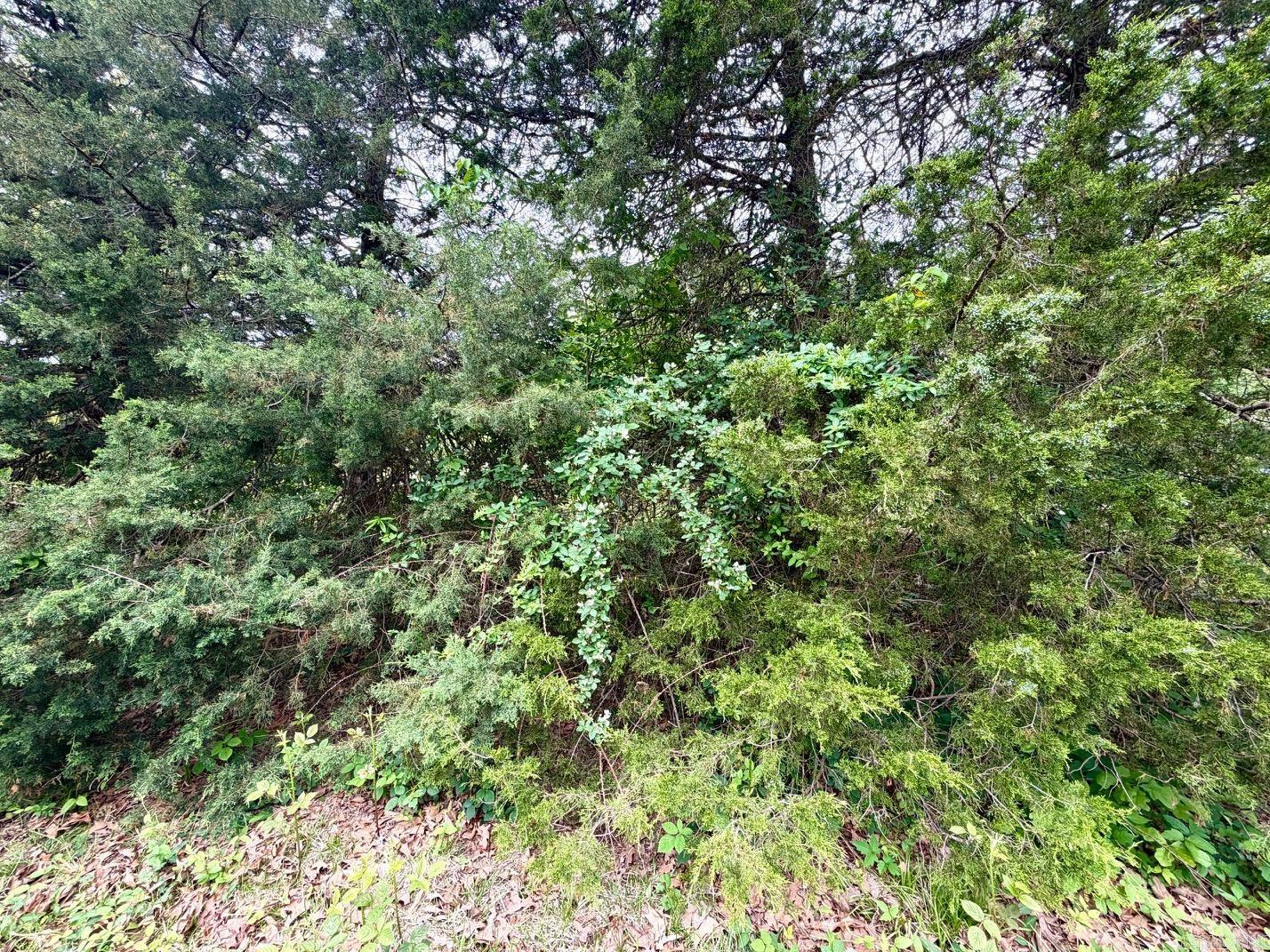 11123 Short Marche Road