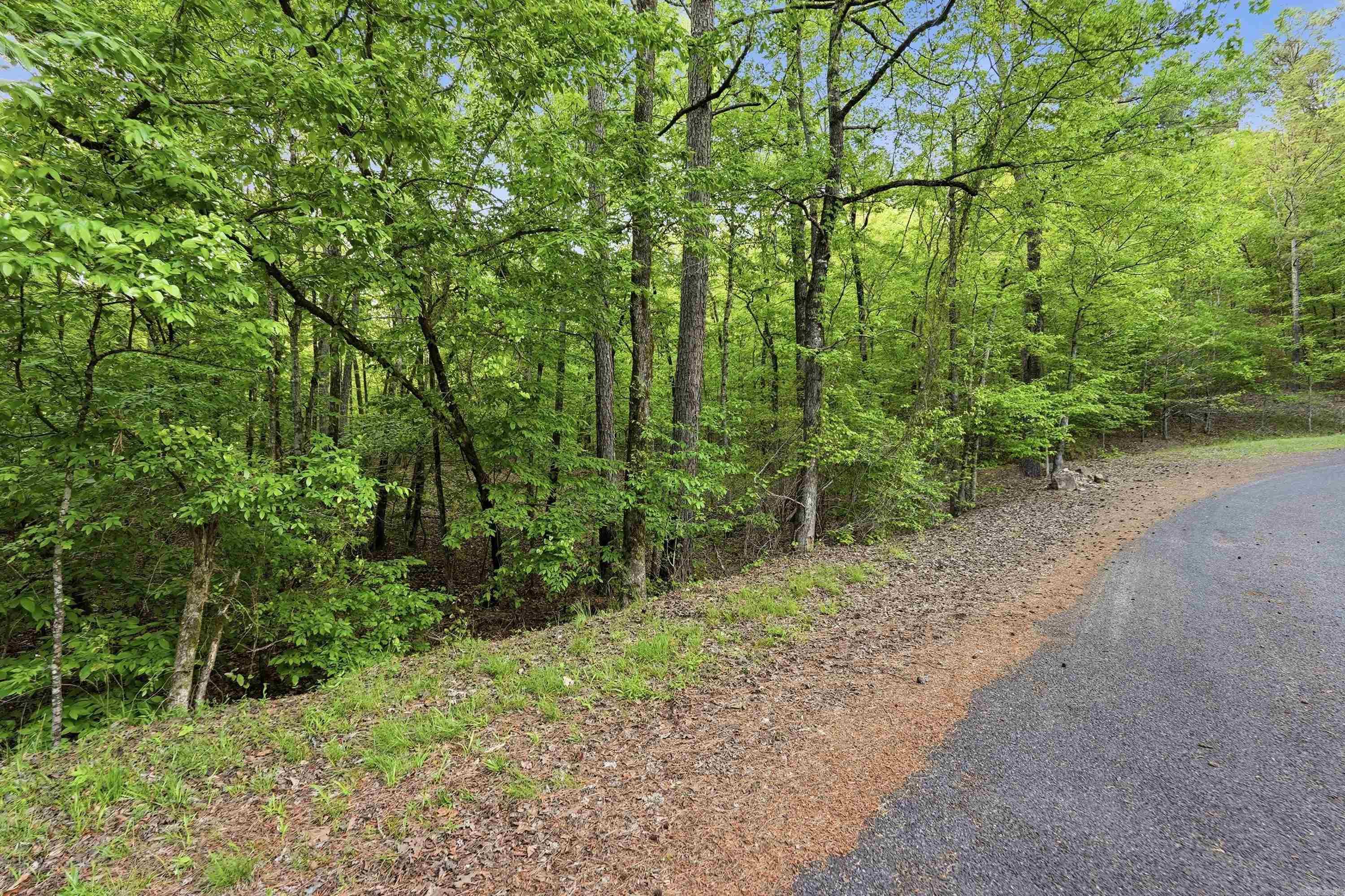 Lot 16 Tall Hickory Road
