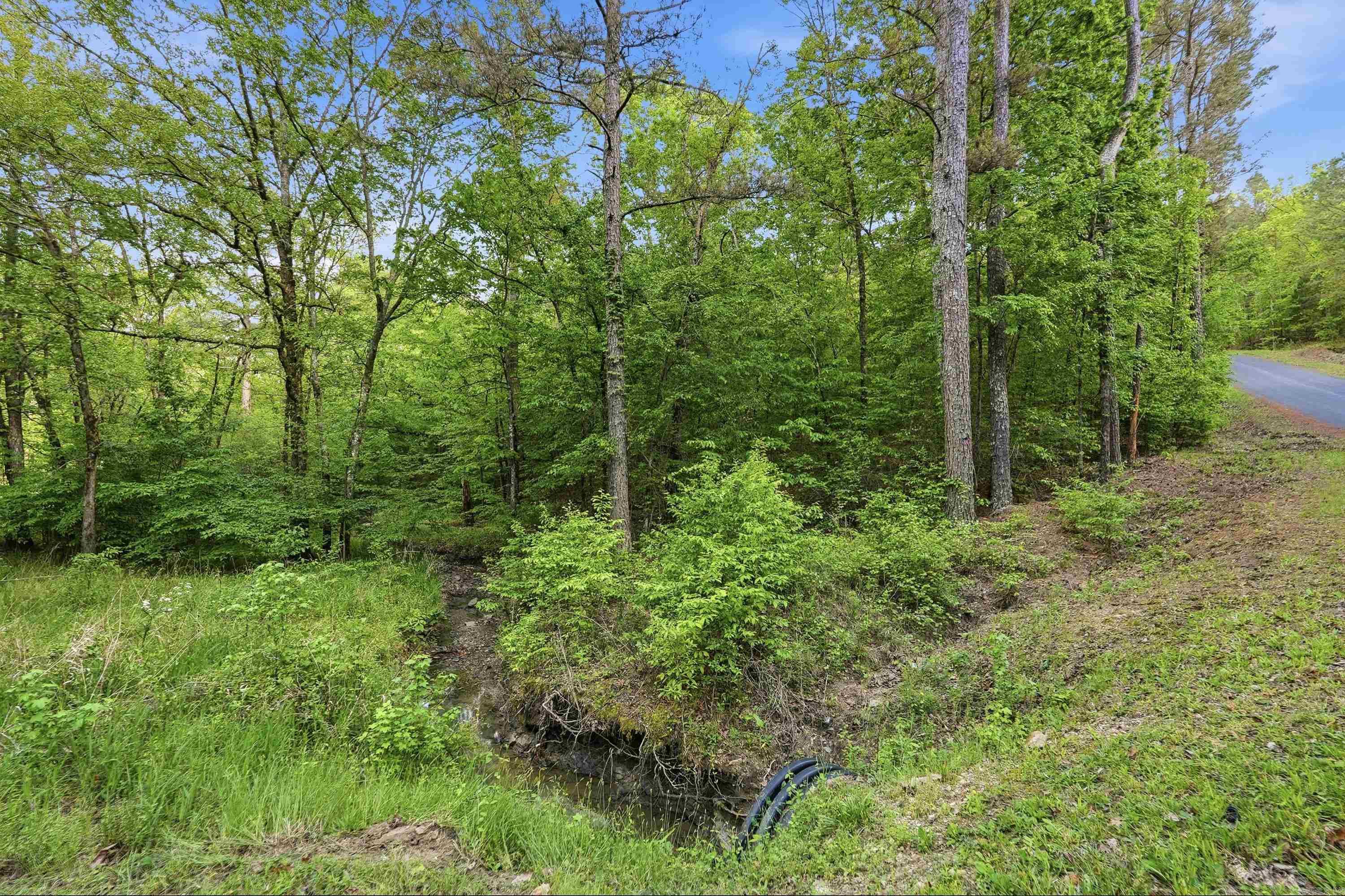 Lot 16 Tall Hickory Road