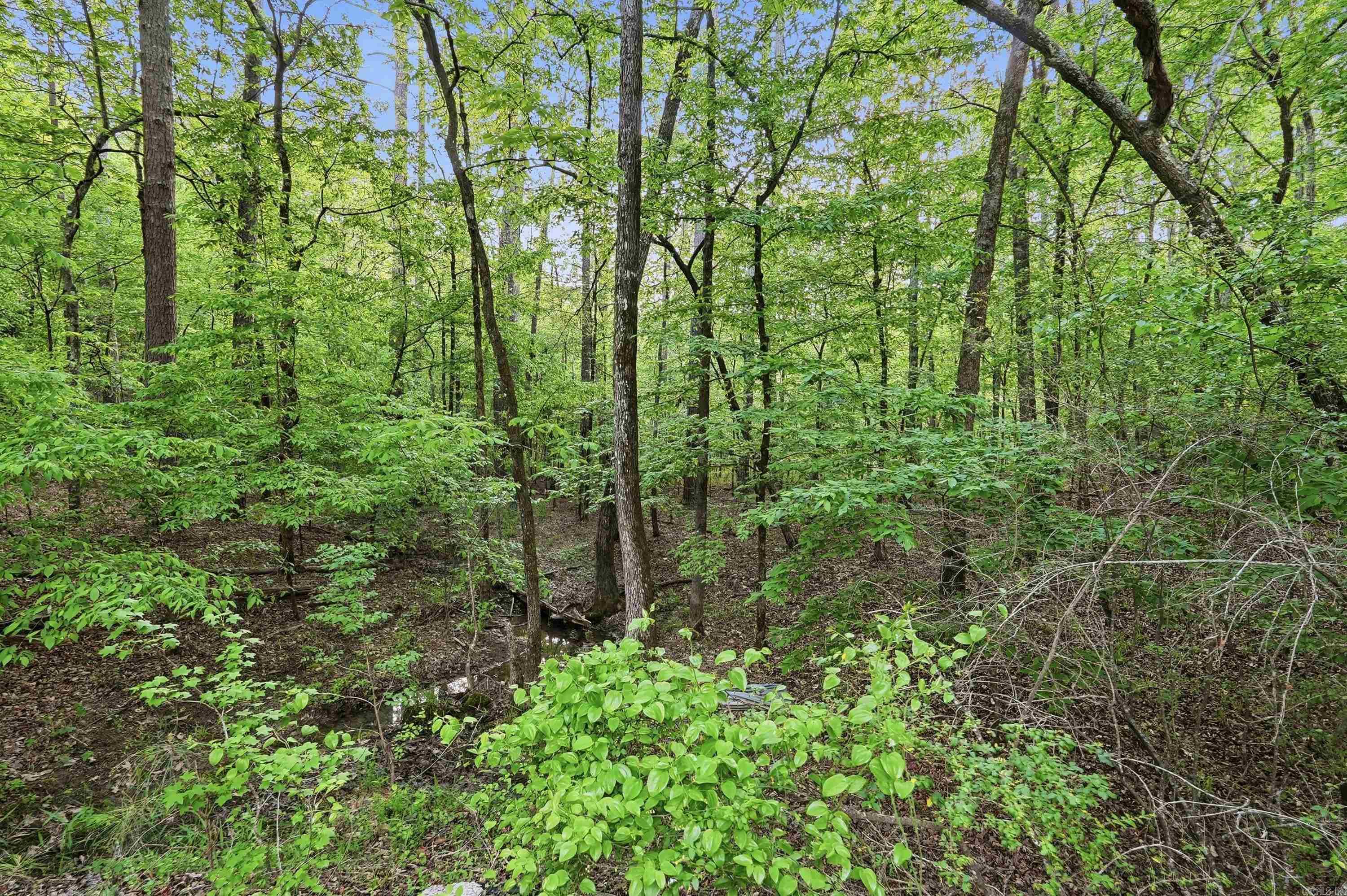 Lot 16 Tall Hickory Road