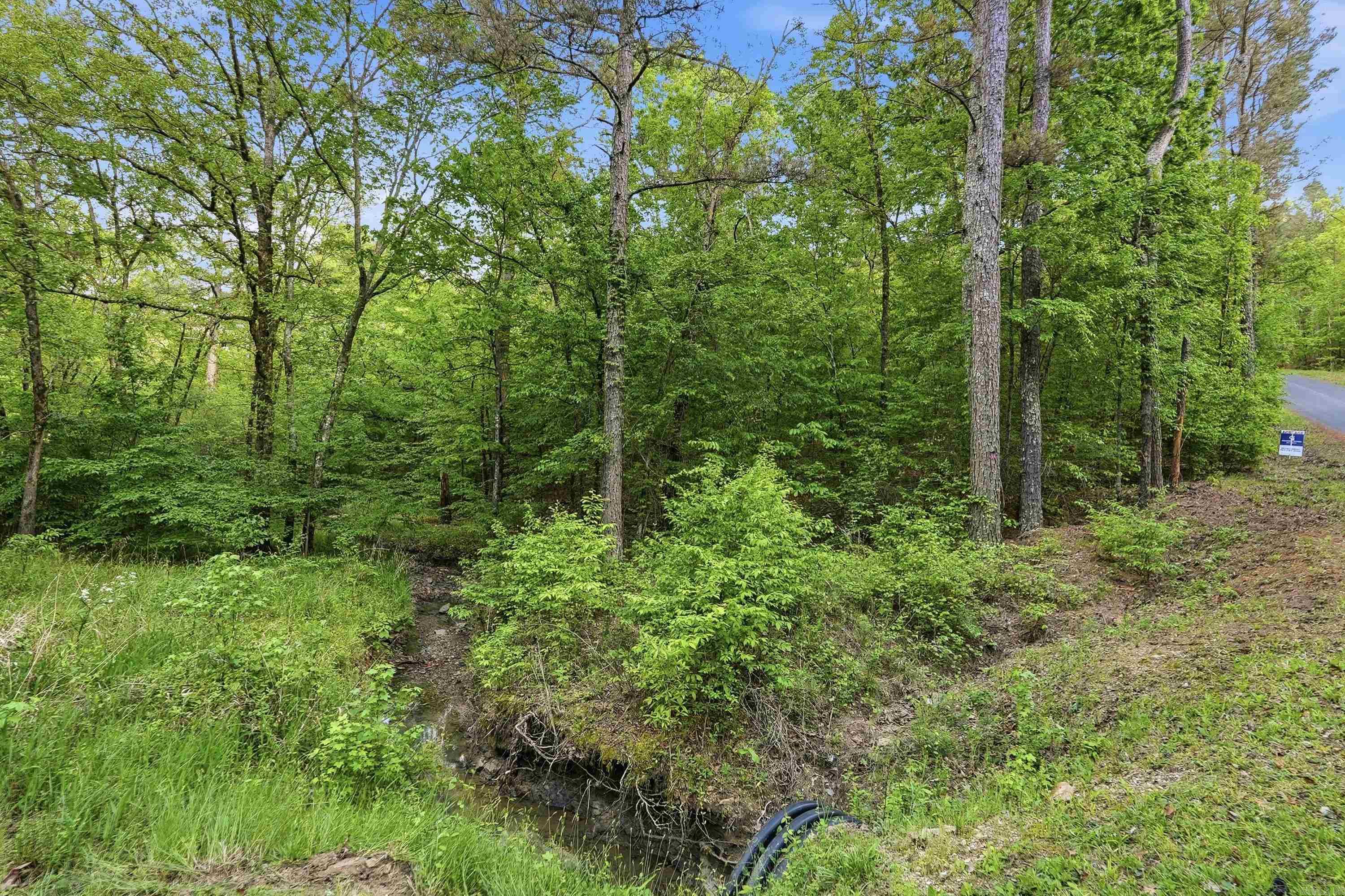 Lot 16 Tall Hickory Road
