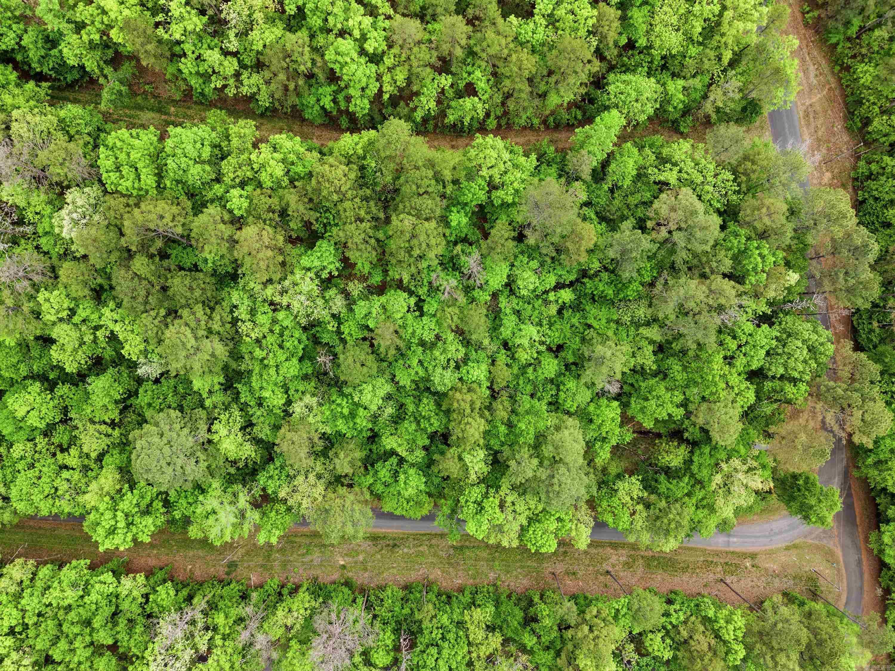Lot 17 & 18 Tall Hickory Road