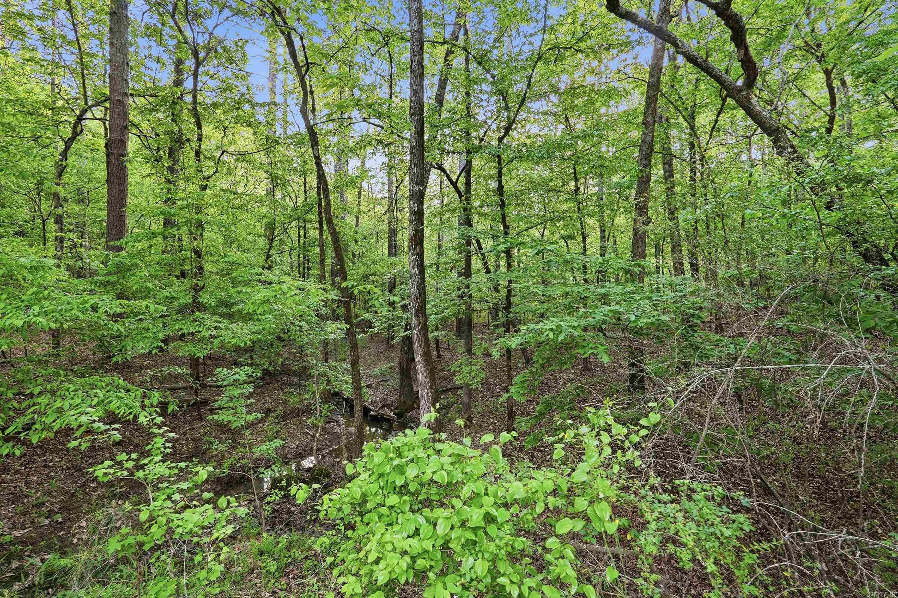 Lot 17 & 18 Tall Hickory Road