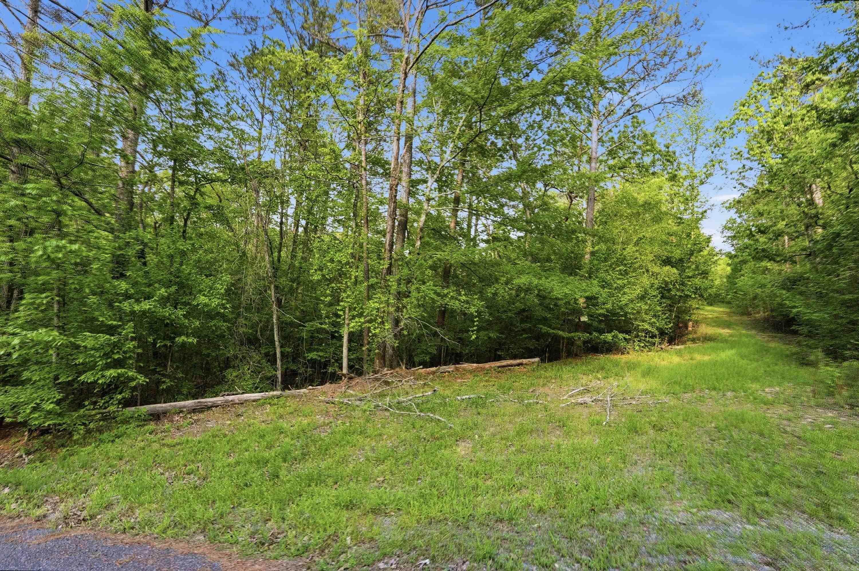 Lot 17 & 18 Tall Hickory Road