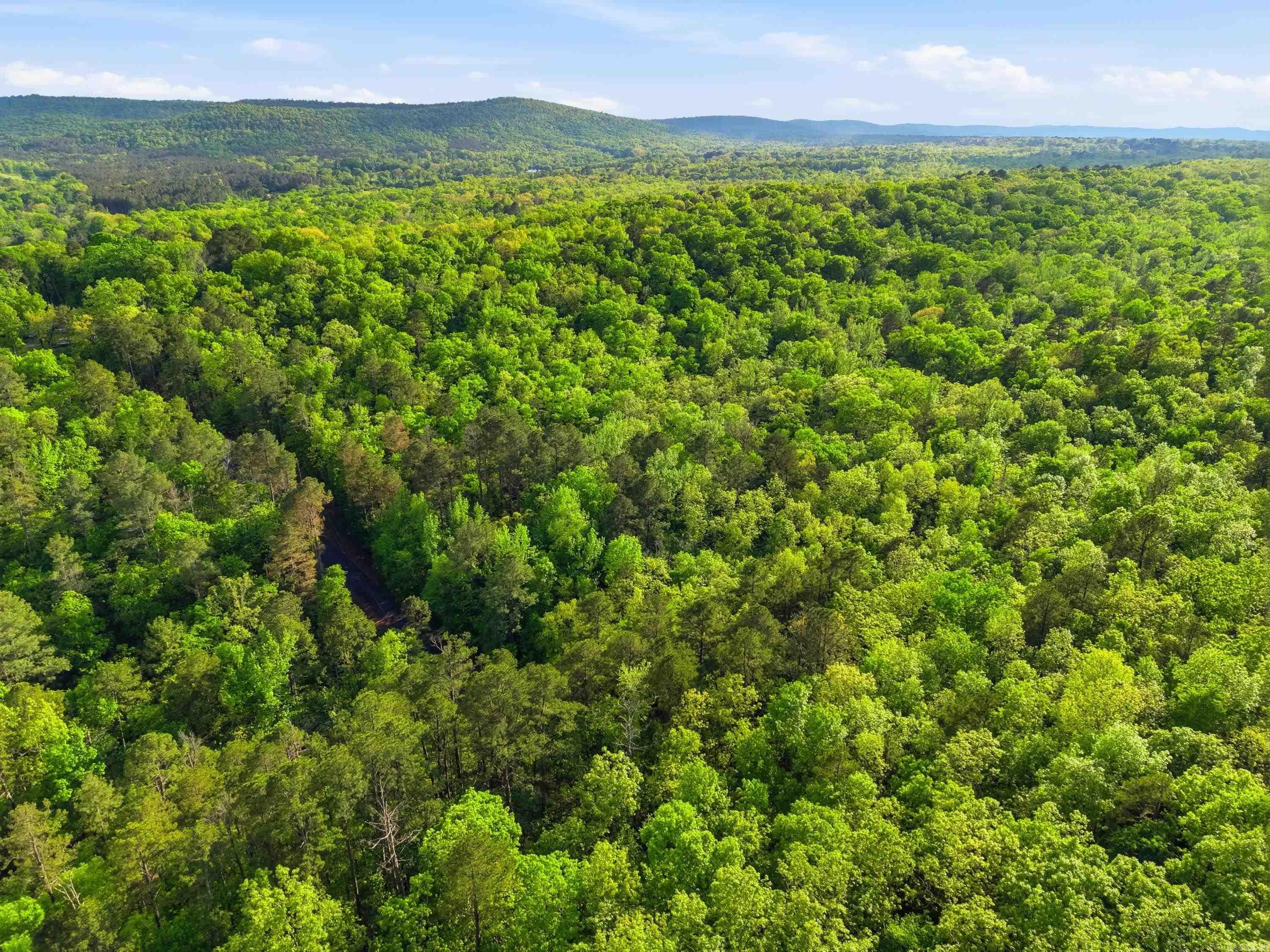 Lot 17 & 18 Tall Hickory Road