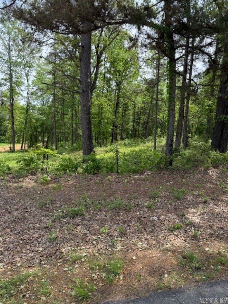 TBD Maddox Court Unit: Tract 1