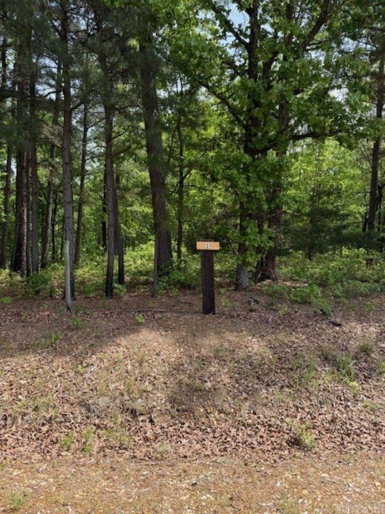 TBD Maddox Court Unit: Tract 1