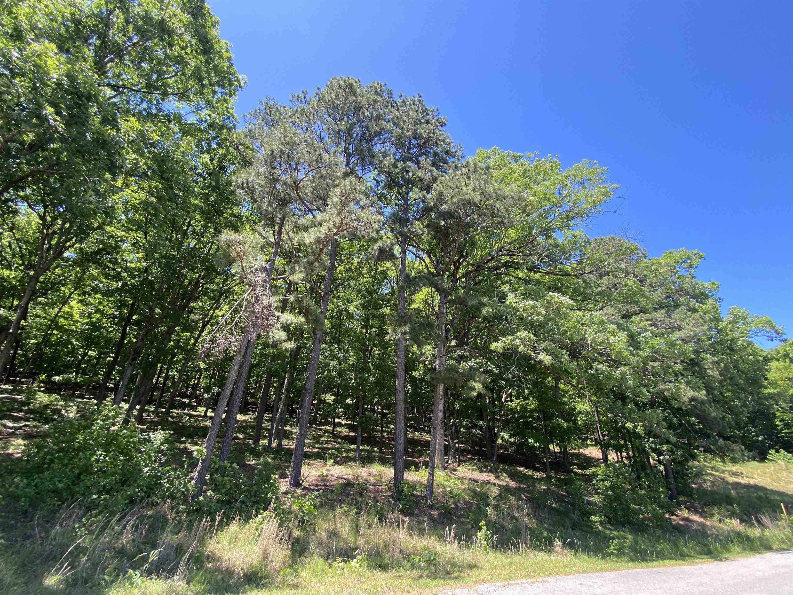 215 Watersedge Drive