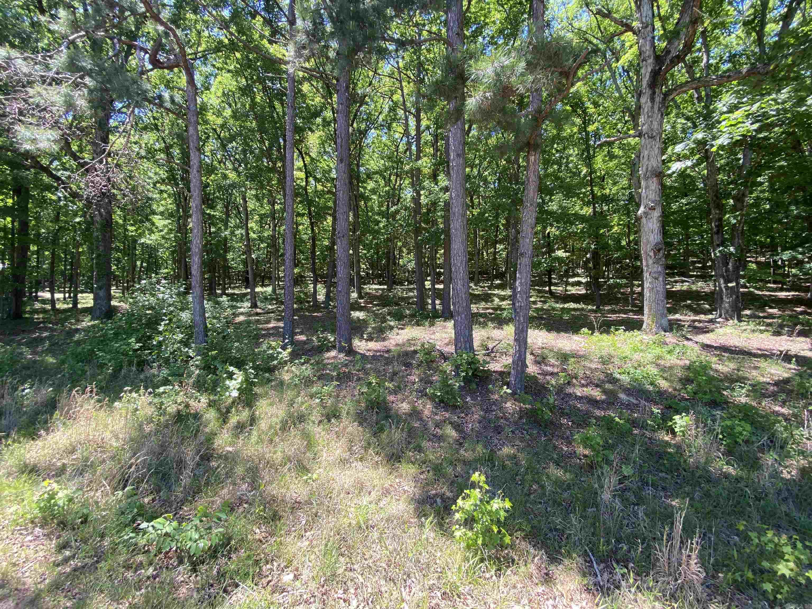 215 Watersedge Drive