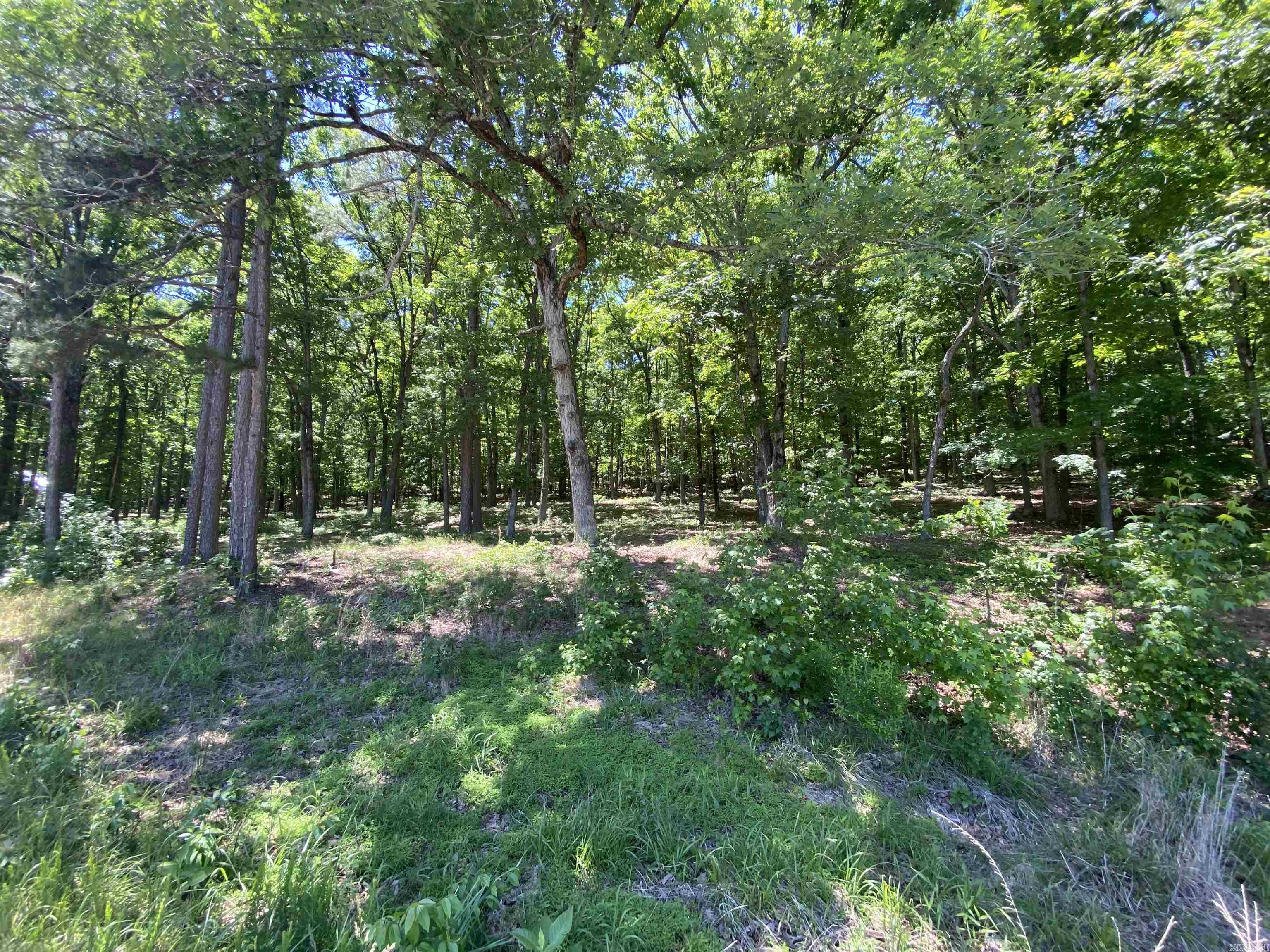 215 Watersedge Drive