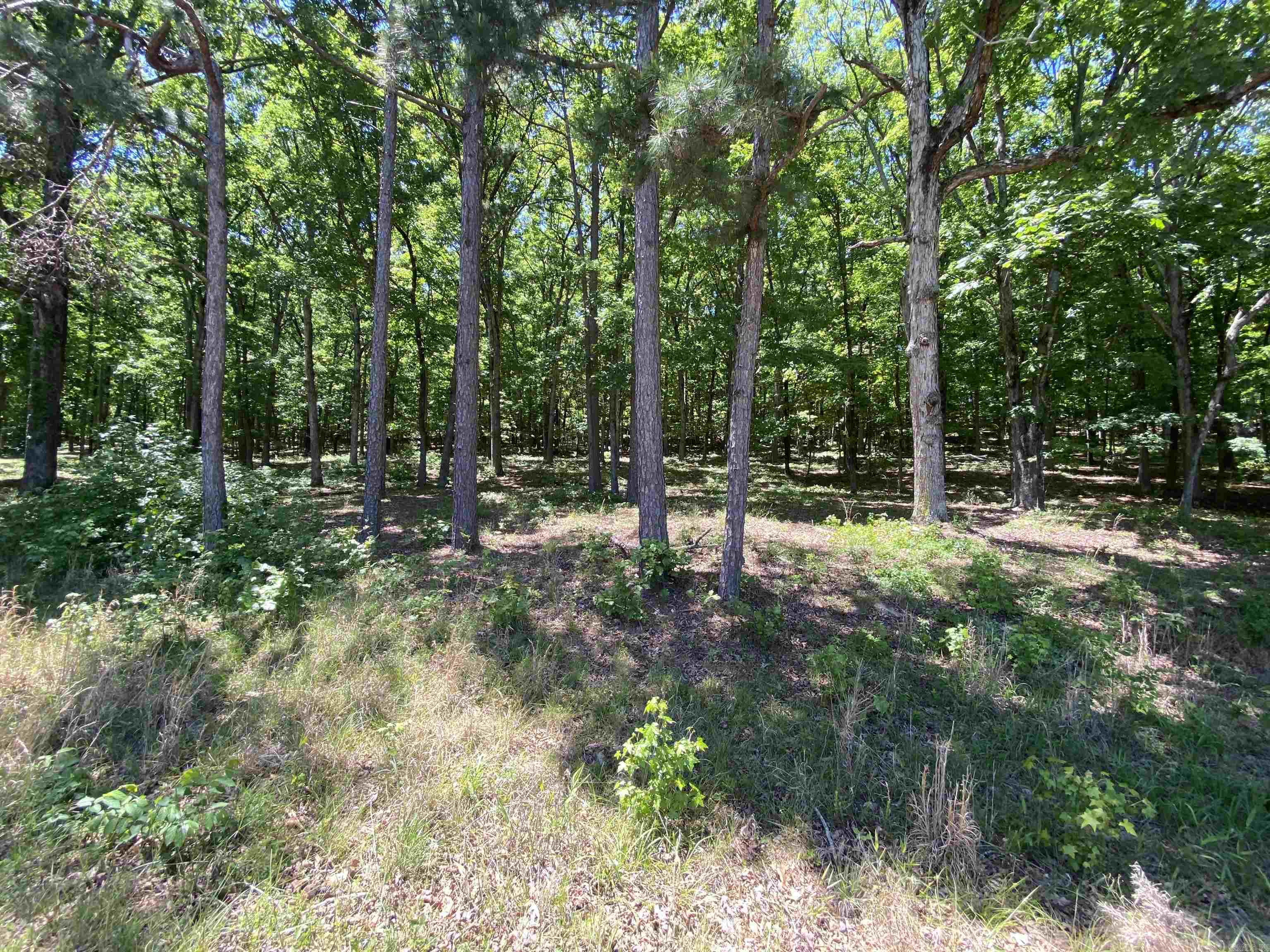 215 Watersedge Drive