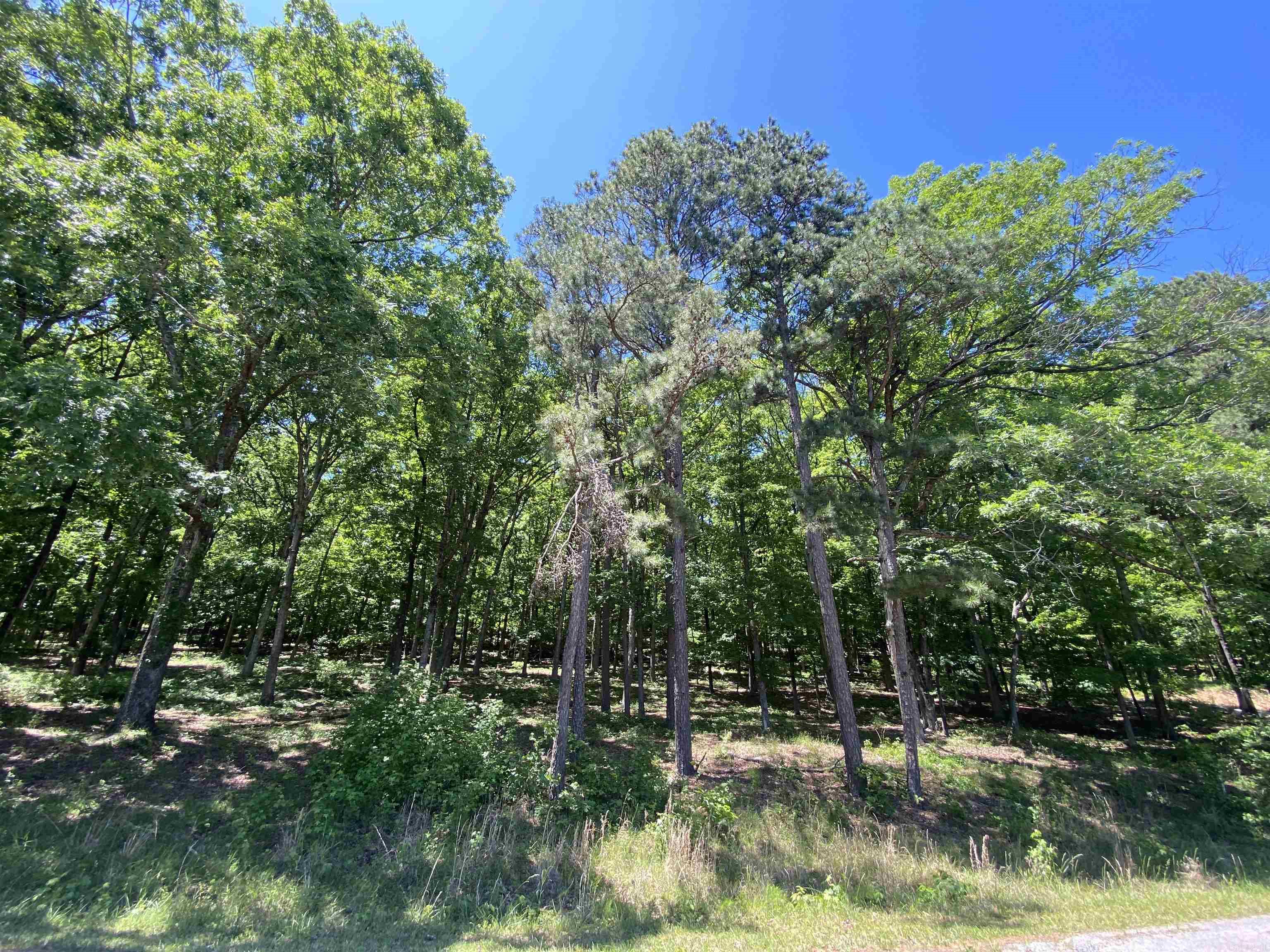 215 Watersedge Drive