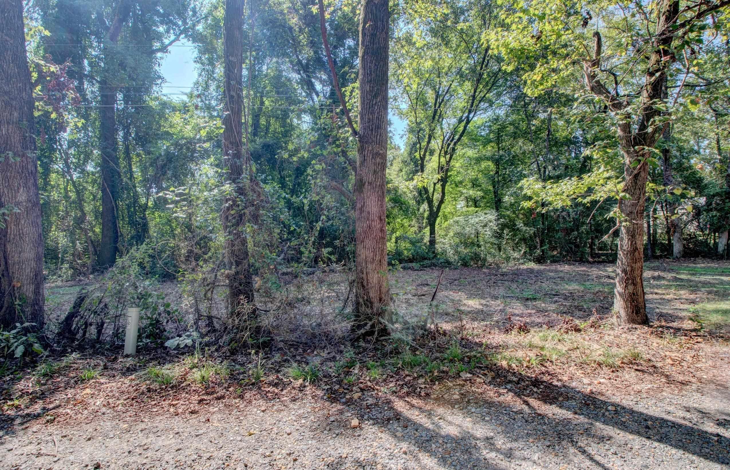 TBD Schnider Lane