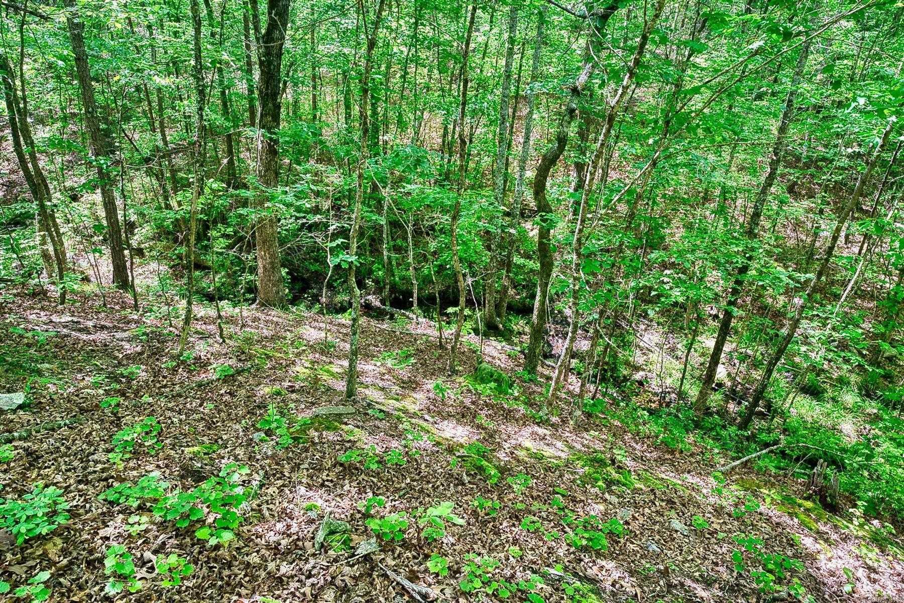 316 Sthil Road