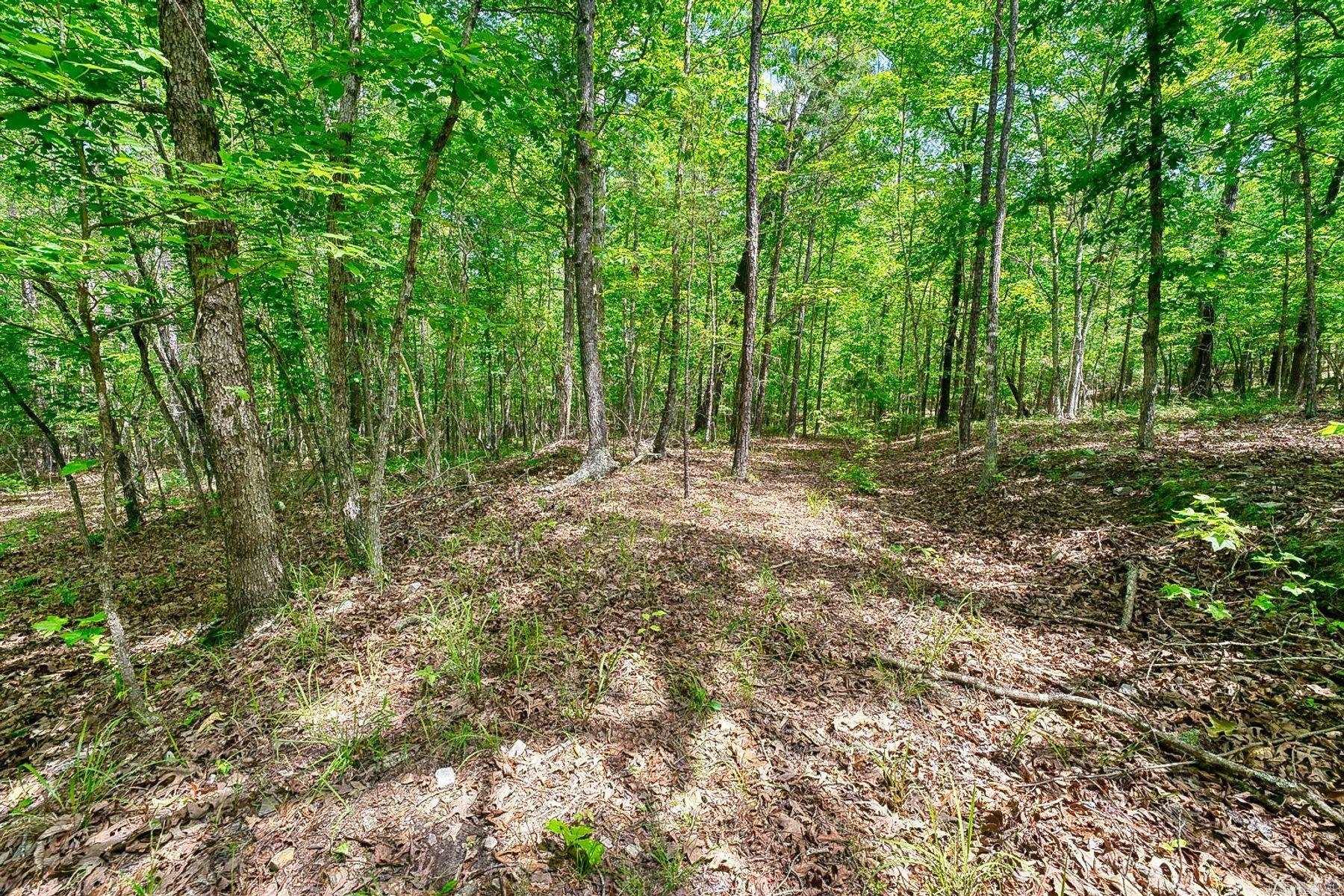 316 Sthil Road