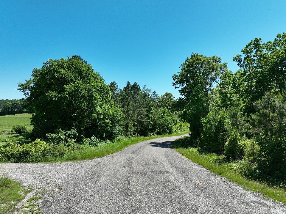 0000 Beech Drive