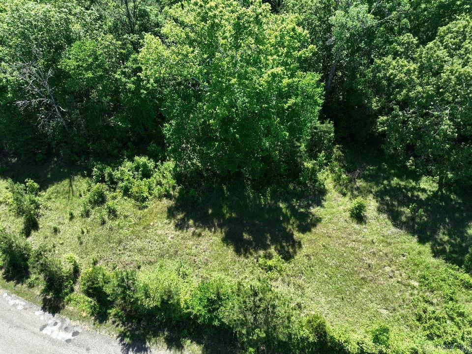 0000 Beech Drive