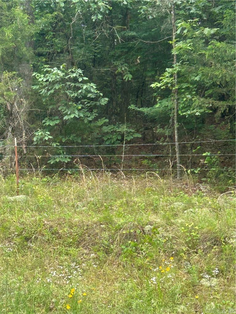 000 Wildcat Hollow