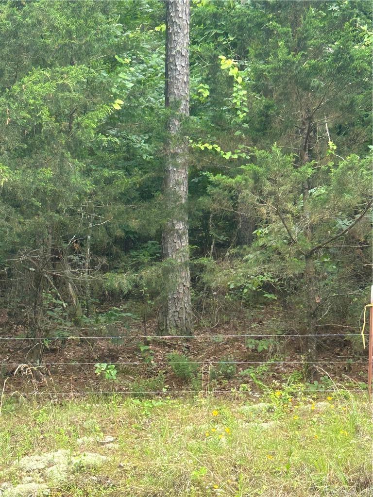 000 Wildcat Hollow