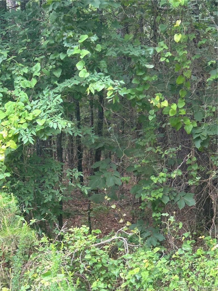 000 Wildcat Hollow