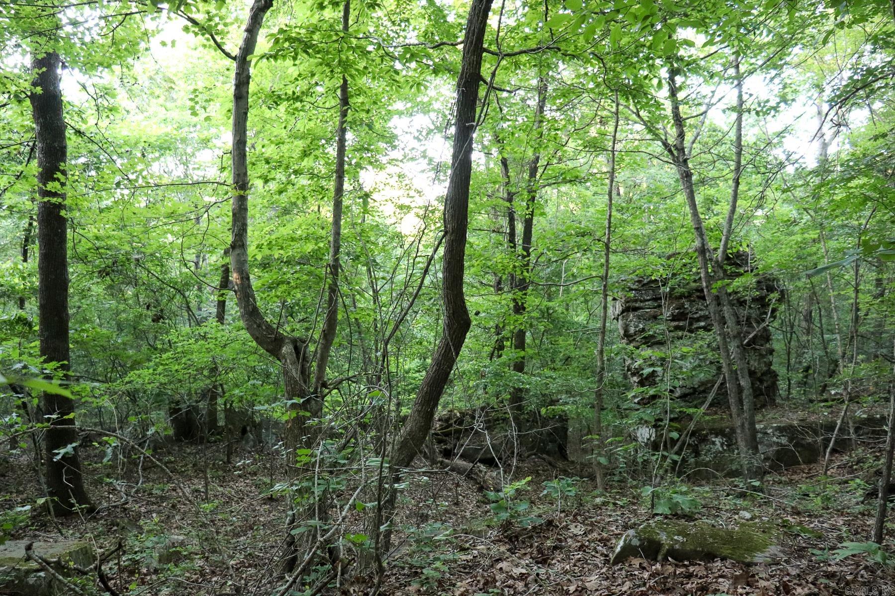 0000 Whiskey Creek Lane
