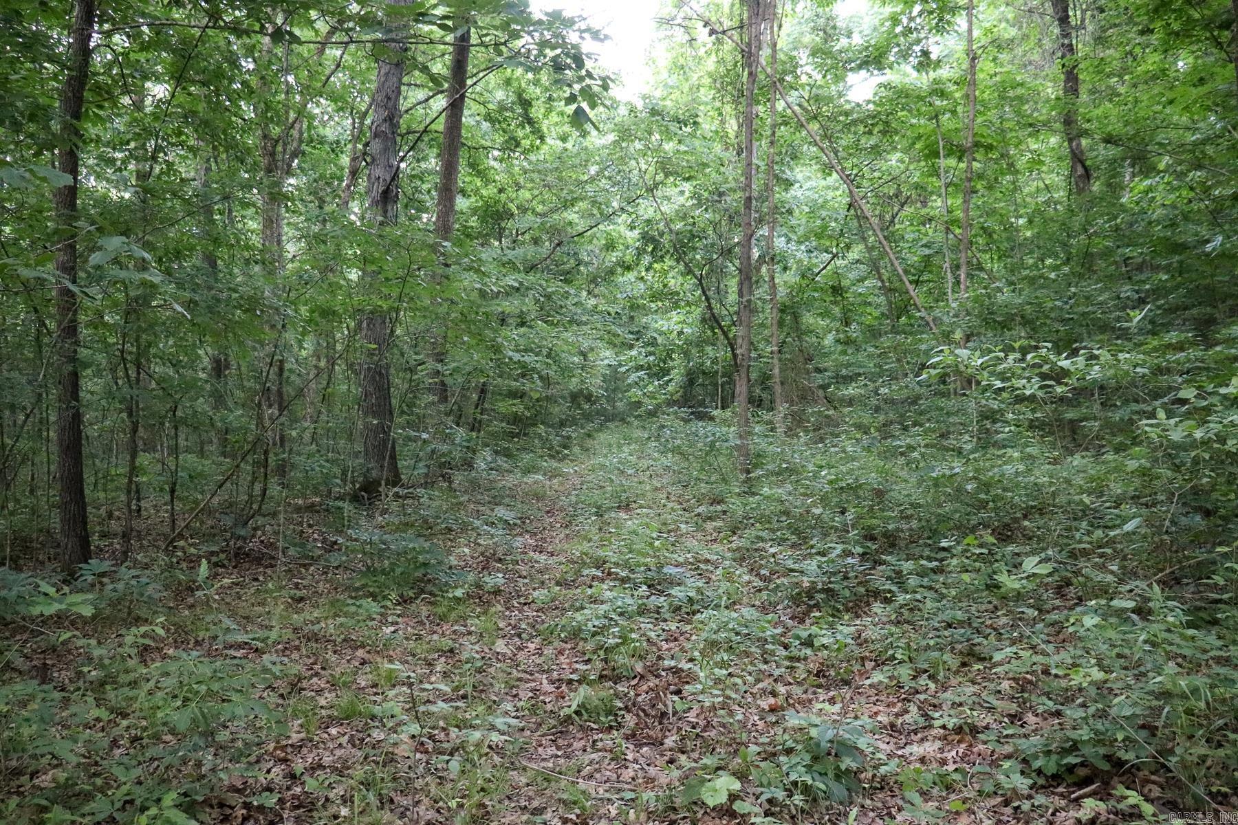 0000 Whiskey Creek Lane