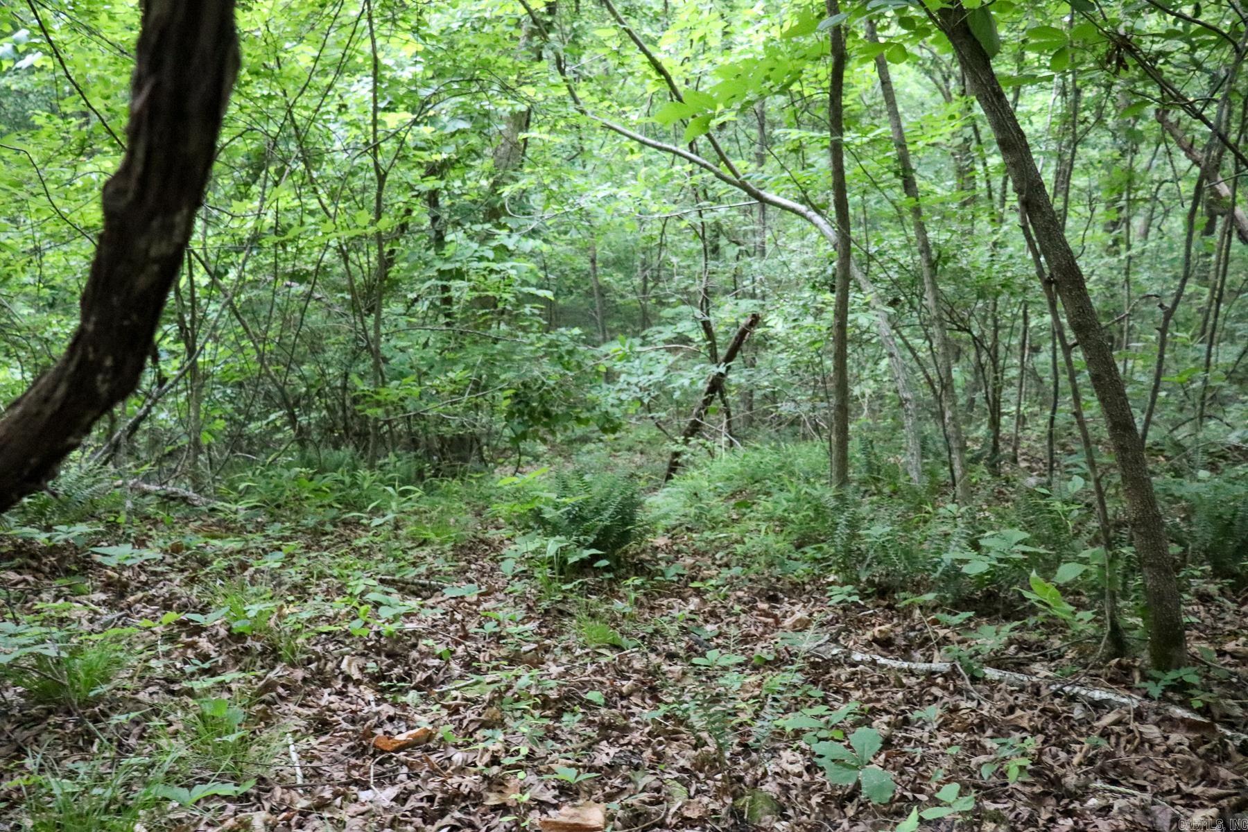 0000 Whiskey Creek Lane