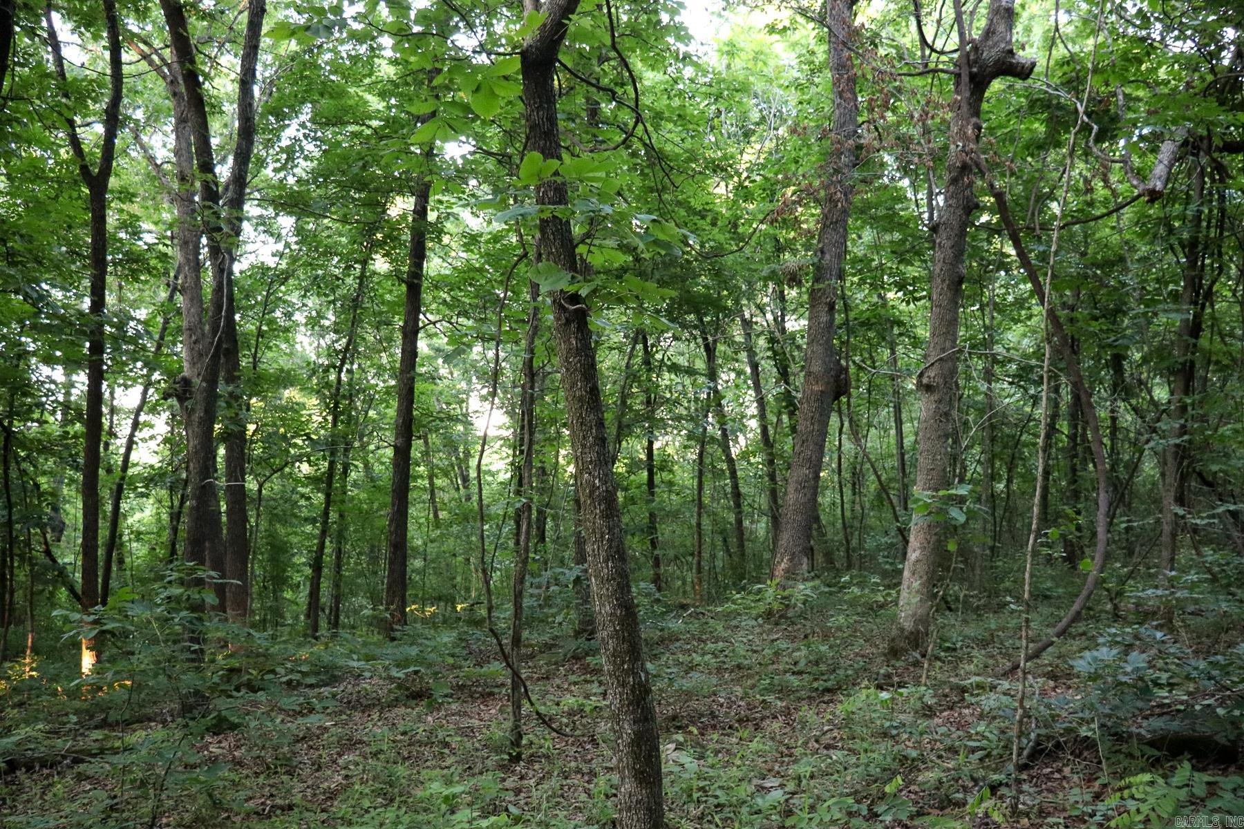 0000 Whiskey Creek Lane