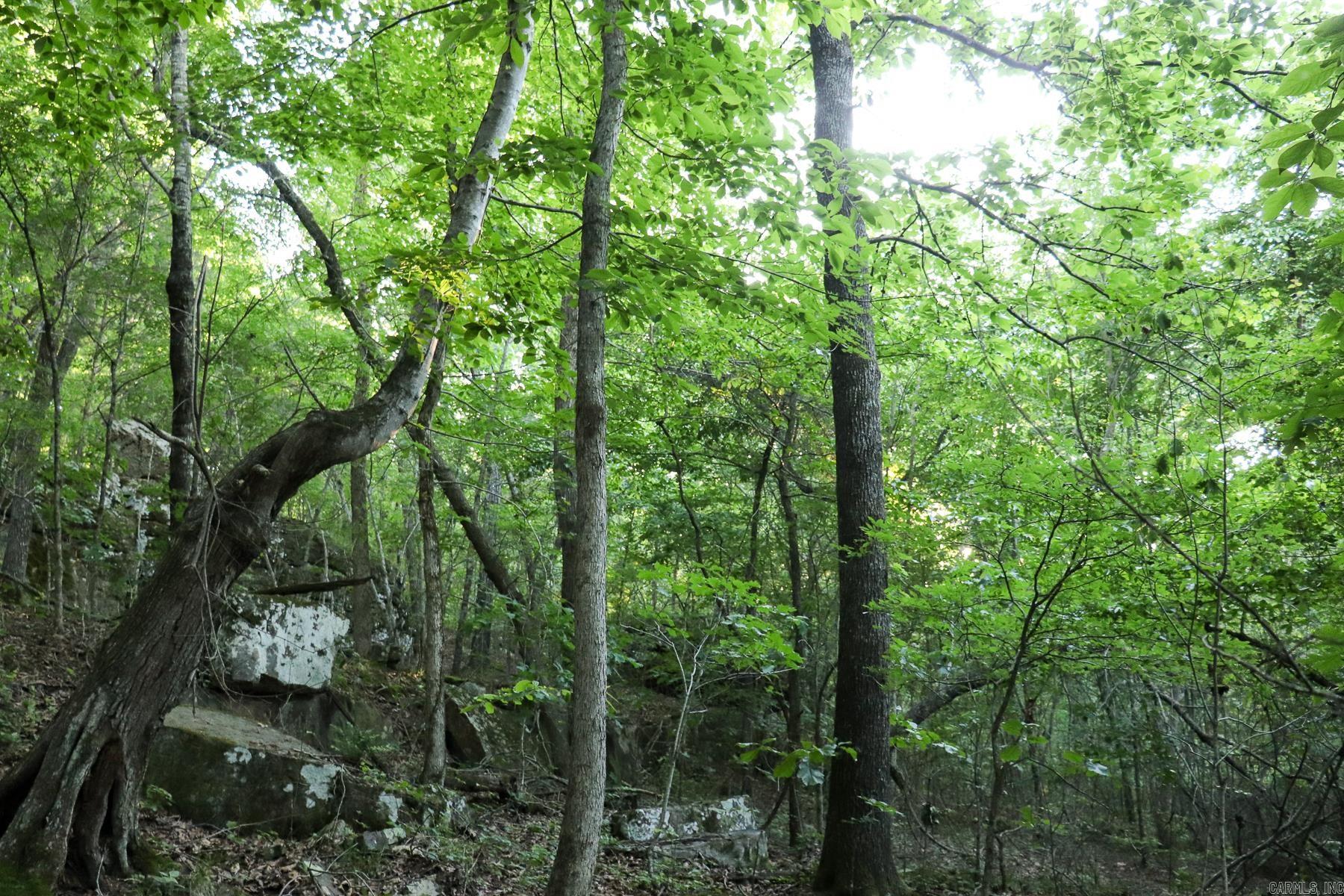 0000 Whiskey Creek Lane