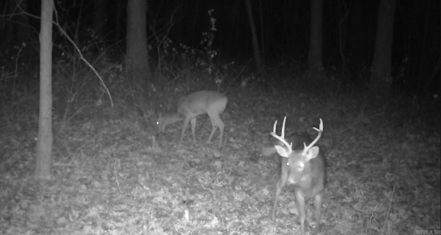 0000 Whiskey Creek Lane