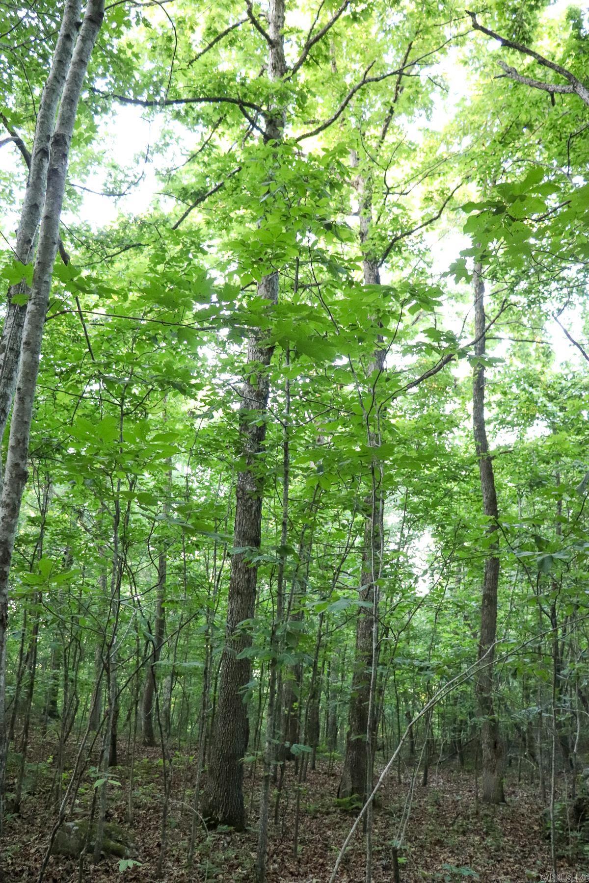 0000 Whiskey Creek Lane