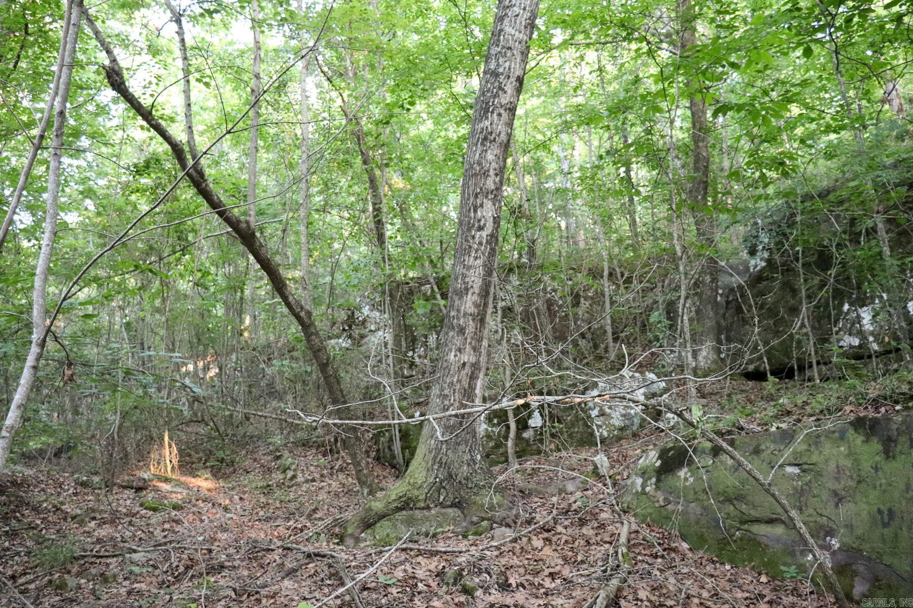 0000 Whiskey Creek Lane