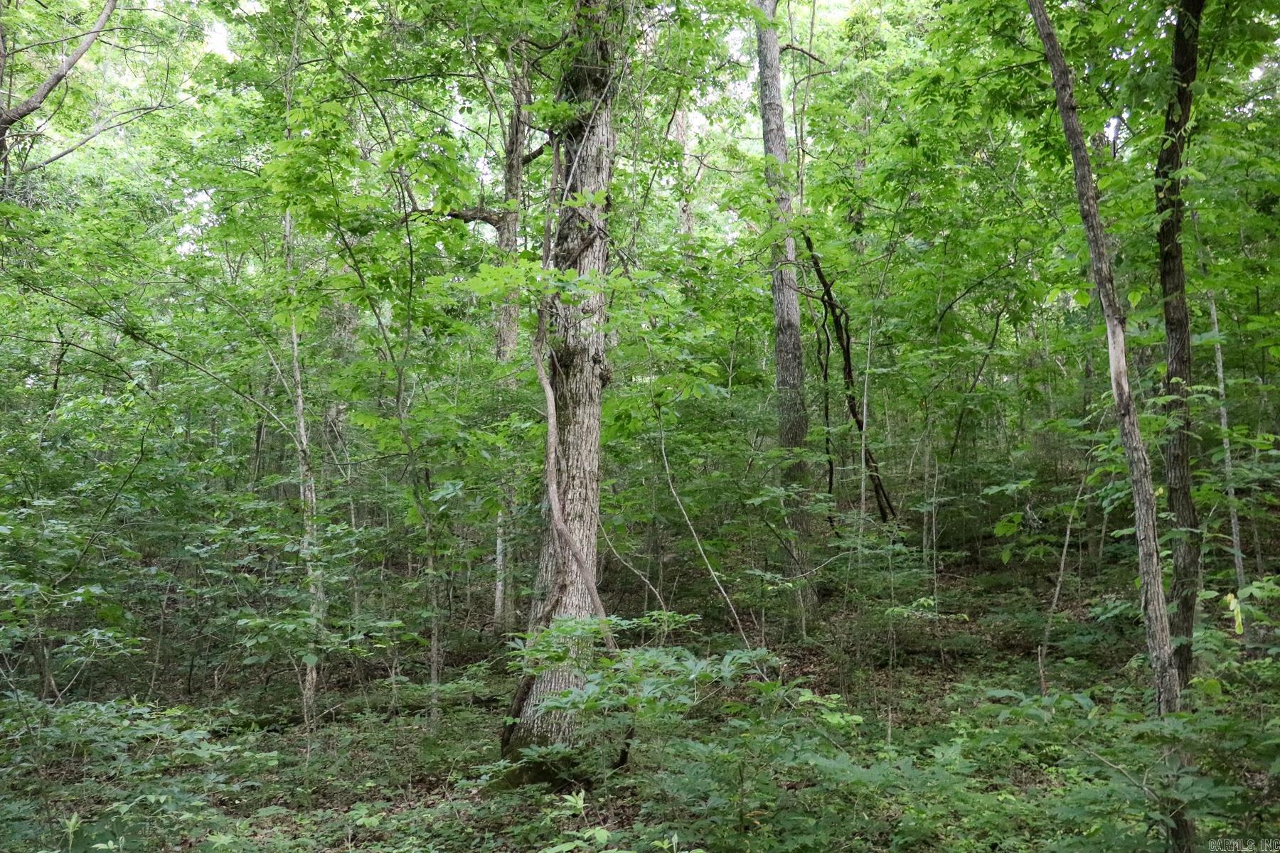 0000 Whiskey Creek Lane