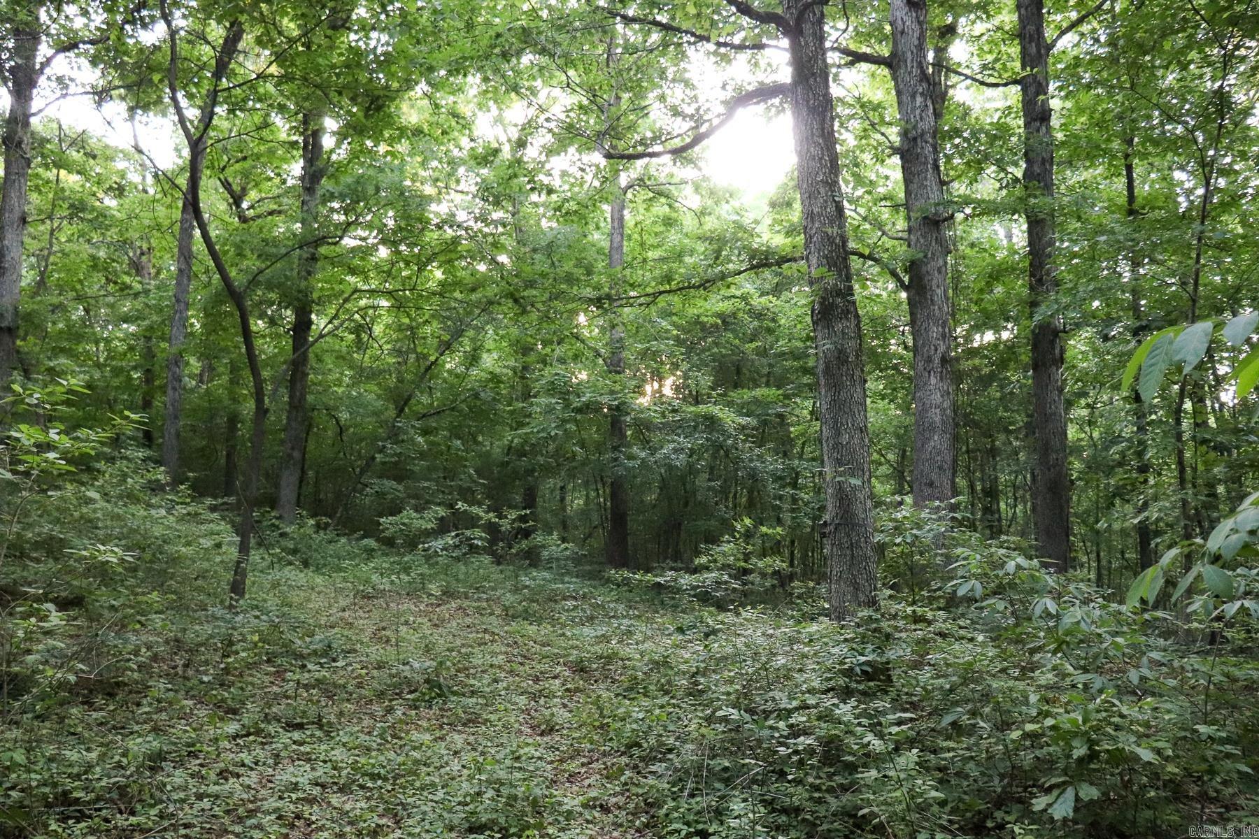 0000 Whiskey Creek Lane