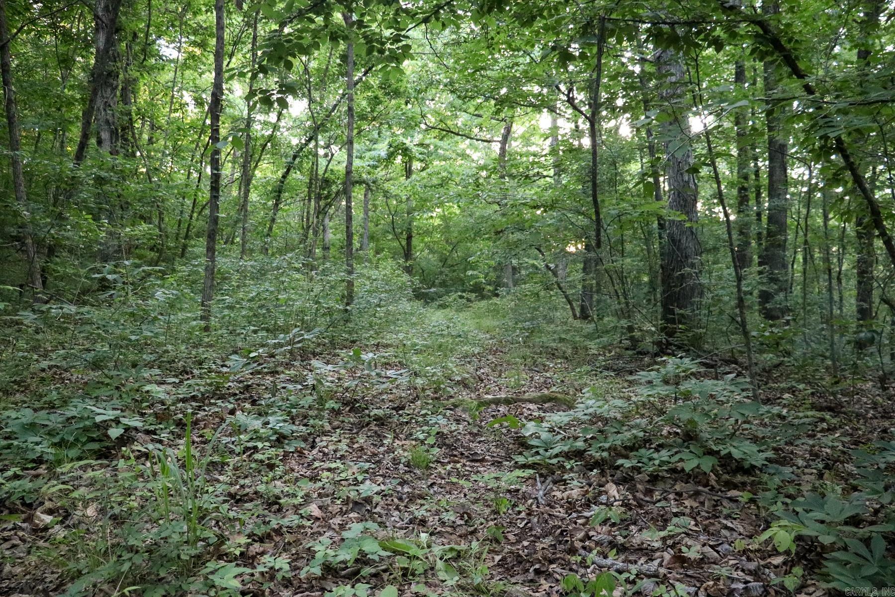 0000 Whiskey Creek Lane