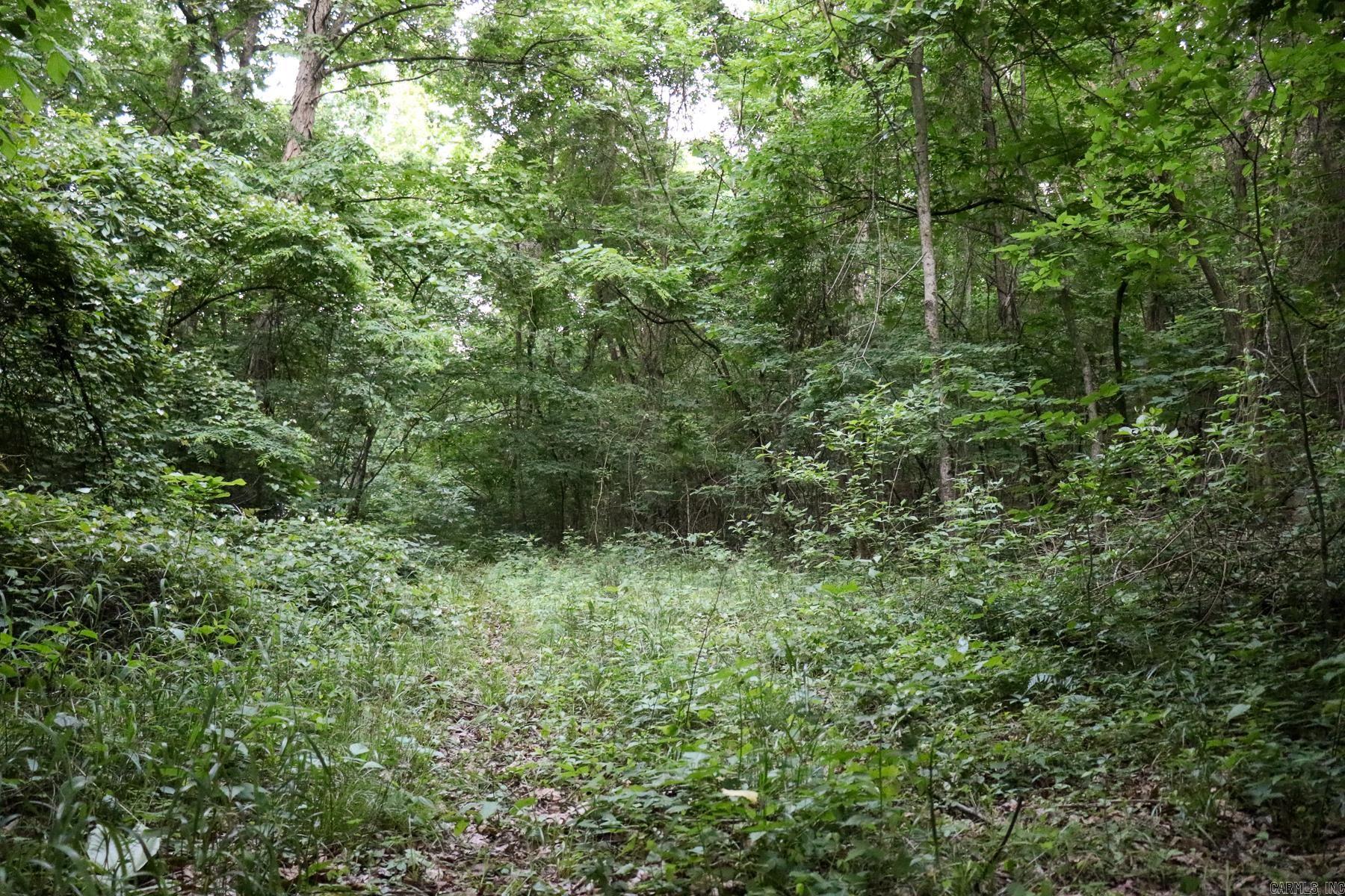 0000 Whiskey Creek Lane