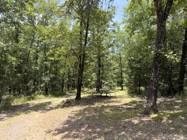136 Scenic Hill