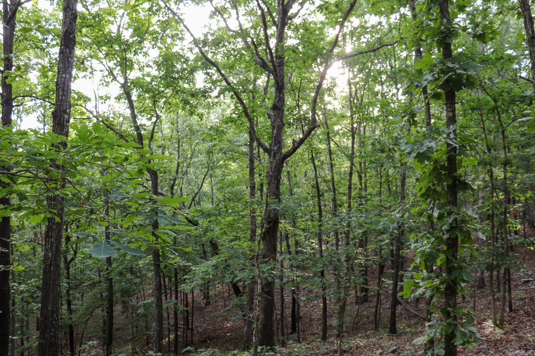 845 Fire Tower Road