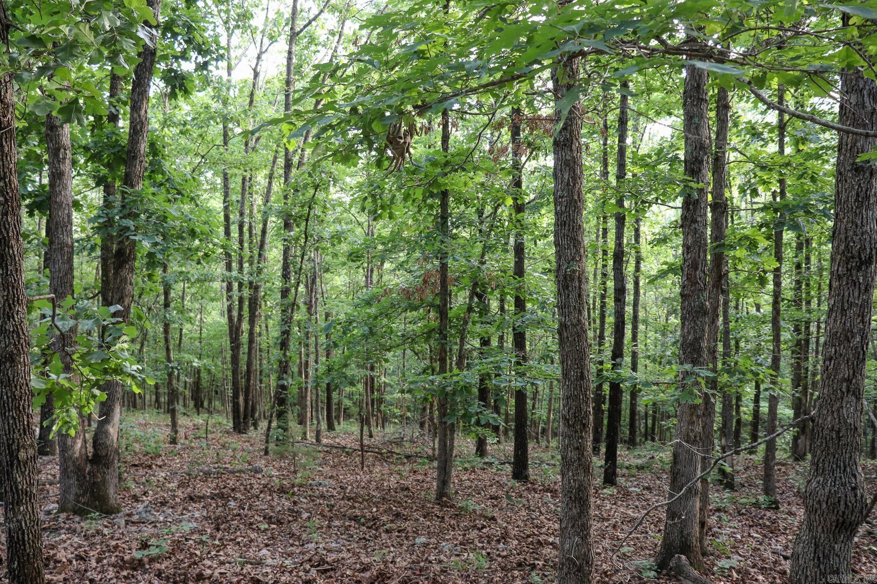 845 Fire Tower Road