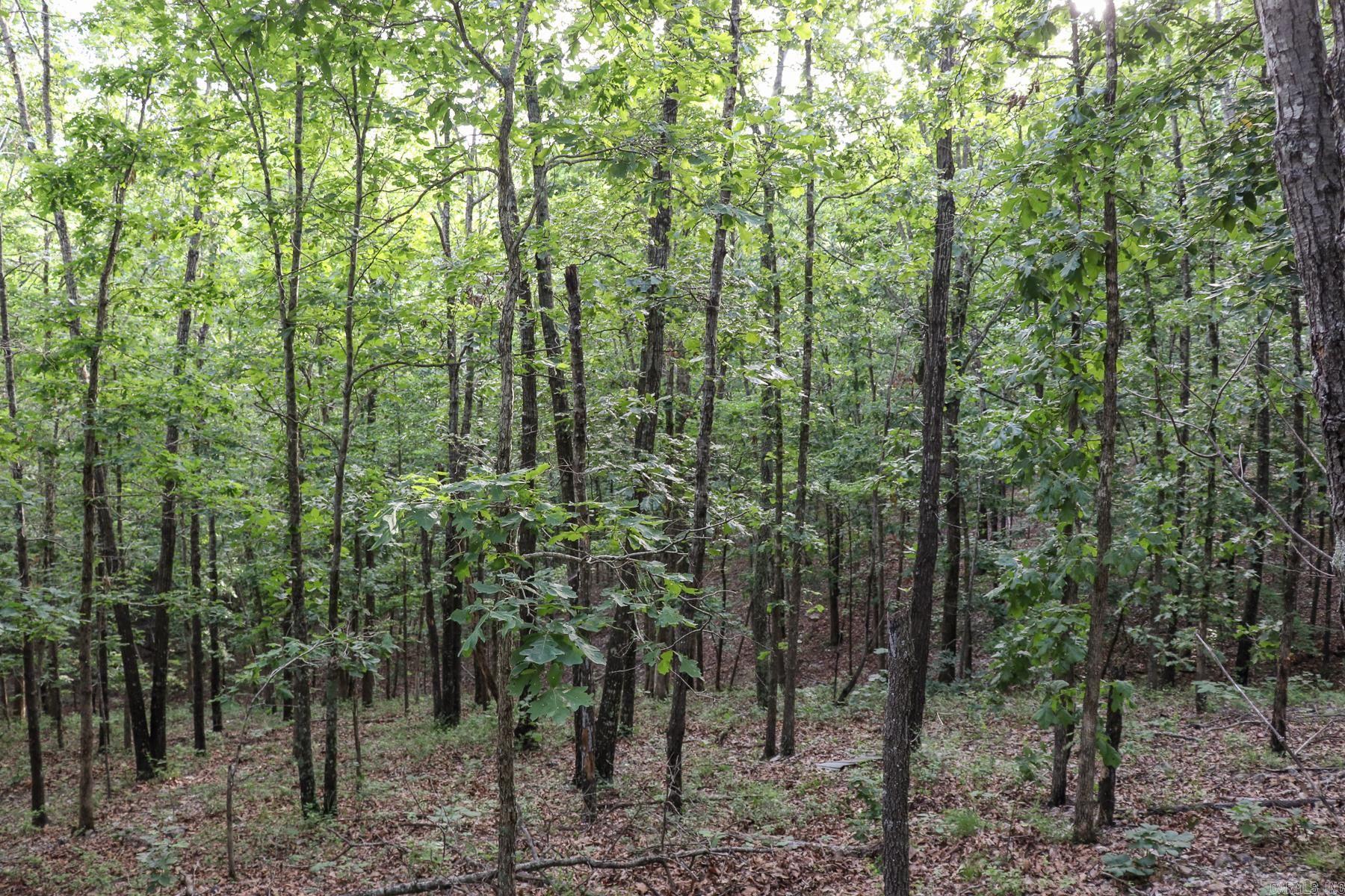 845 Fire Tower Road