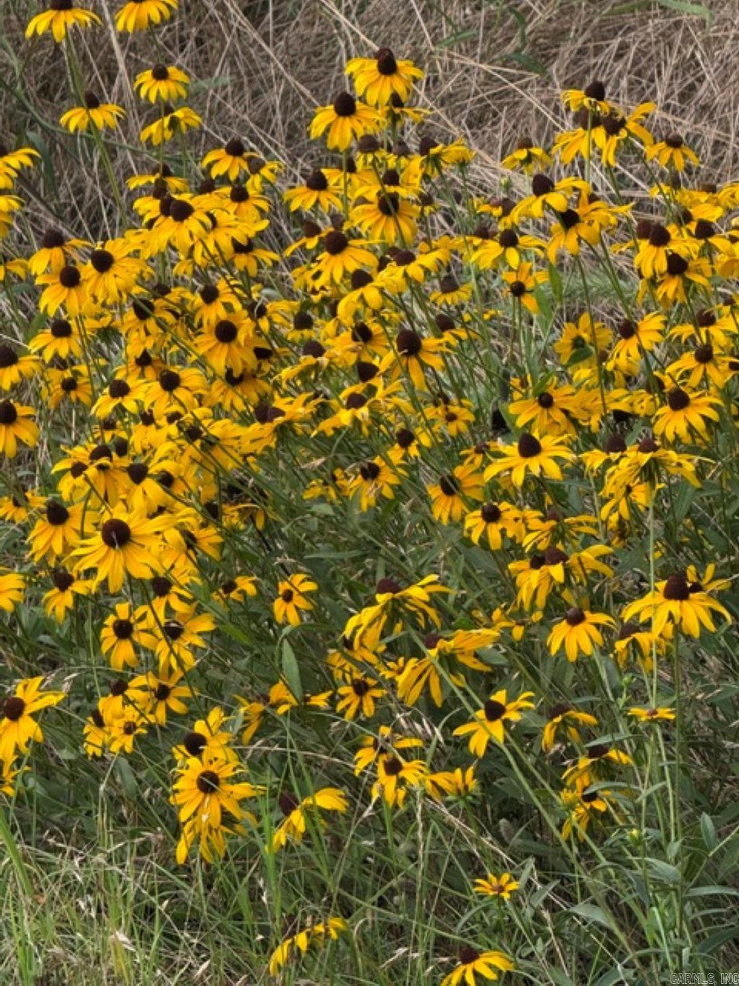 TBD Highway 128
