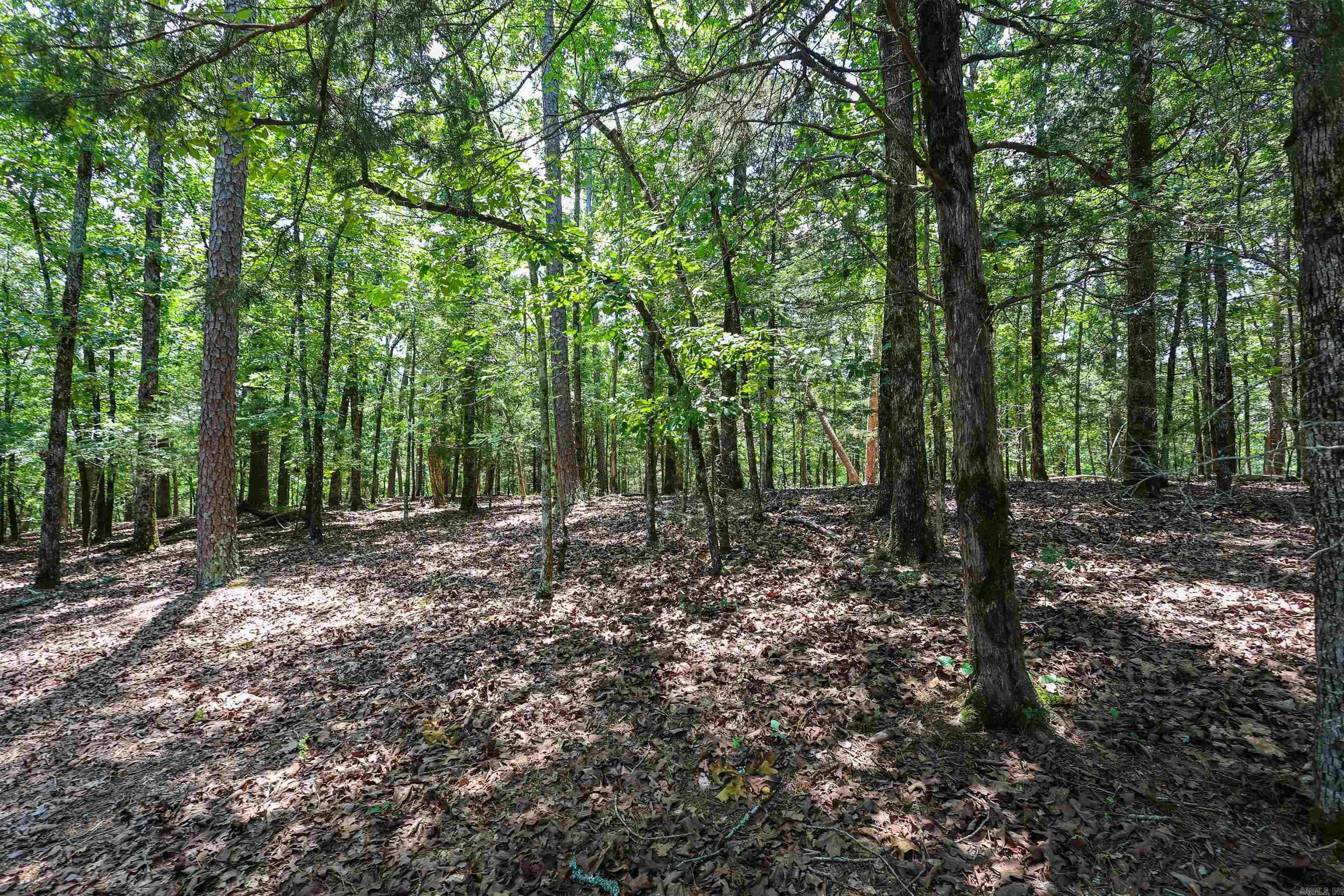 84 Oak Lane