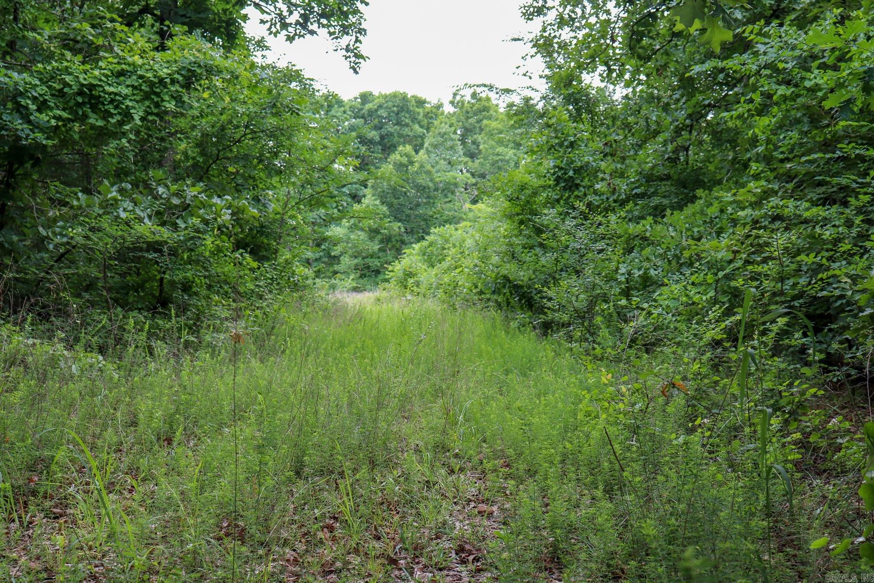 52 Summerfield Creek Crossroad
